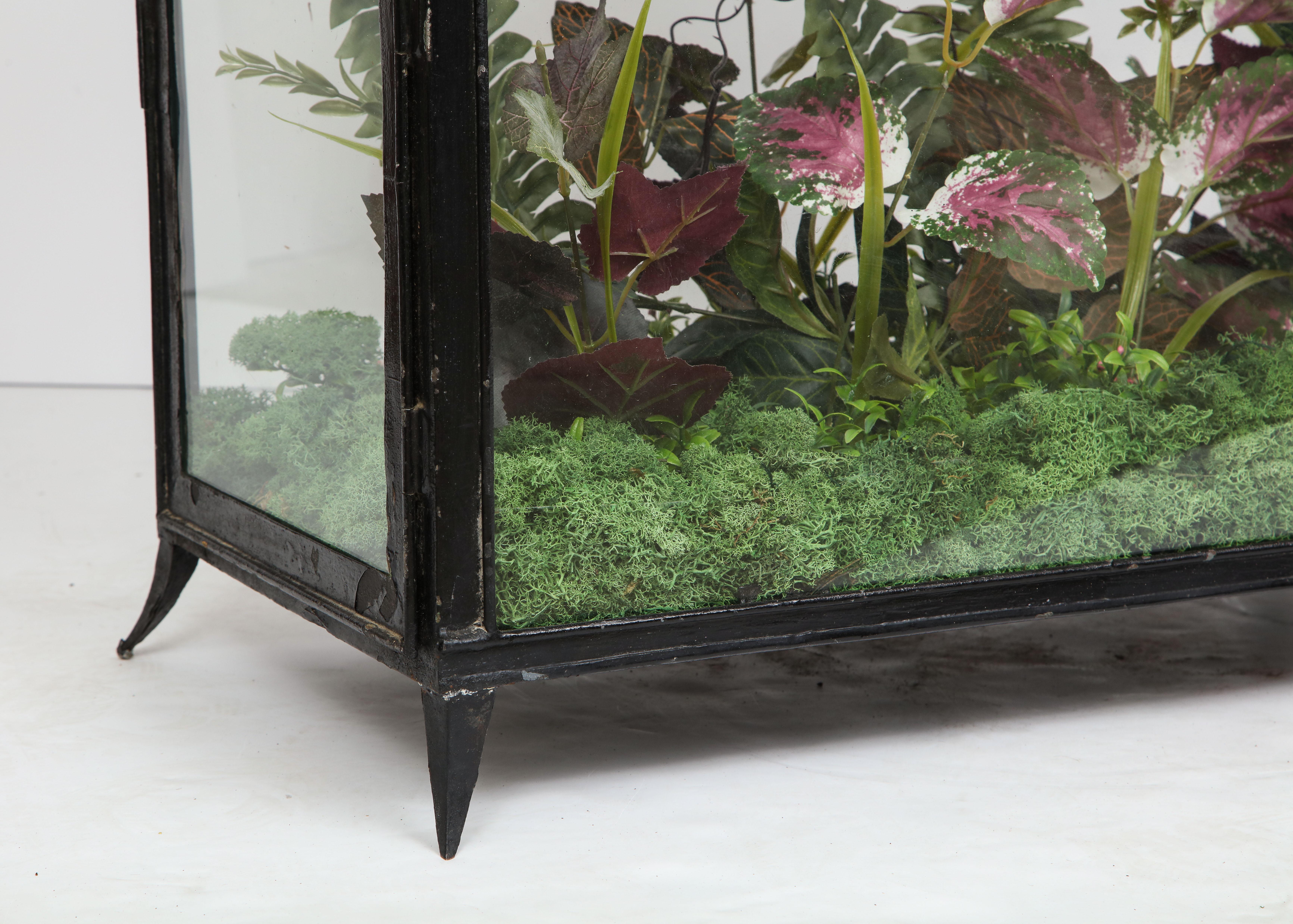 Spacious Glass Terrarium In Good Condition In Mt. Kisco, NY