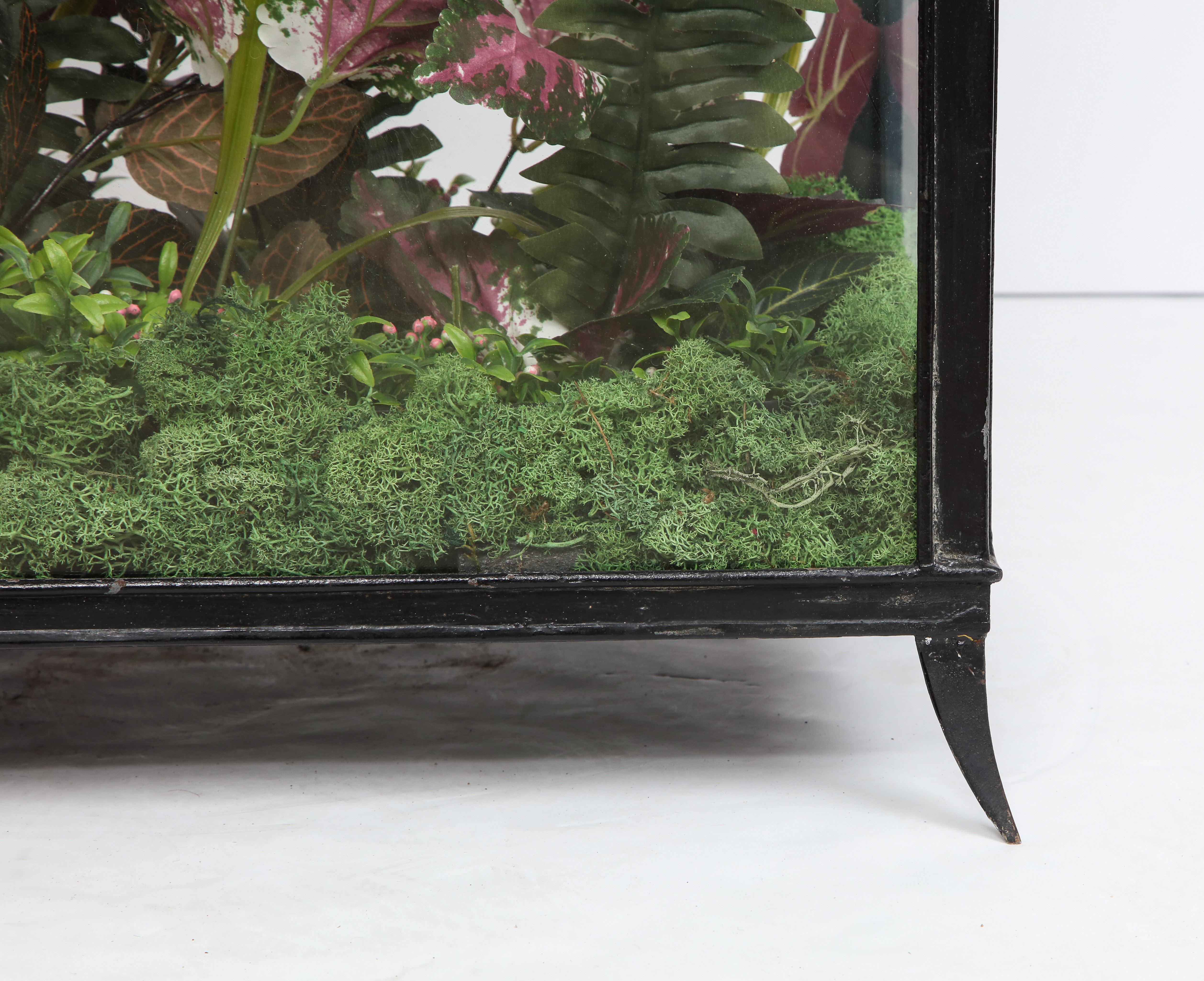 Spacious Glass Terrarium 1