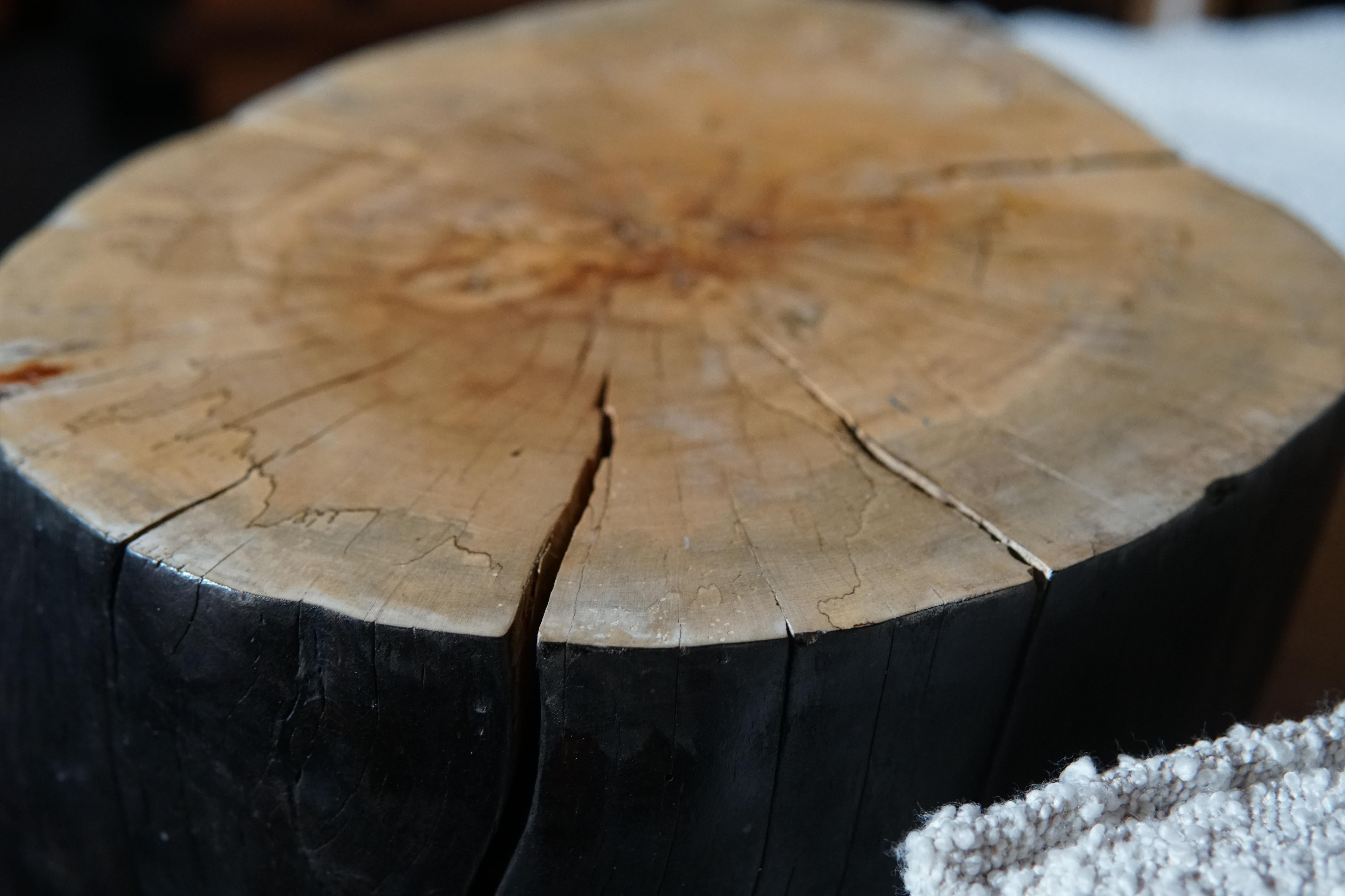 Spalted Maple Stump Table with Ball Feet Black Exterior For Sale 1
