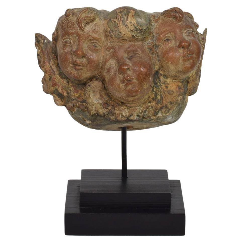 Spanish 17/ 18th Century Hand Carved  Group of Baroque Winged Angel Heads For Sale