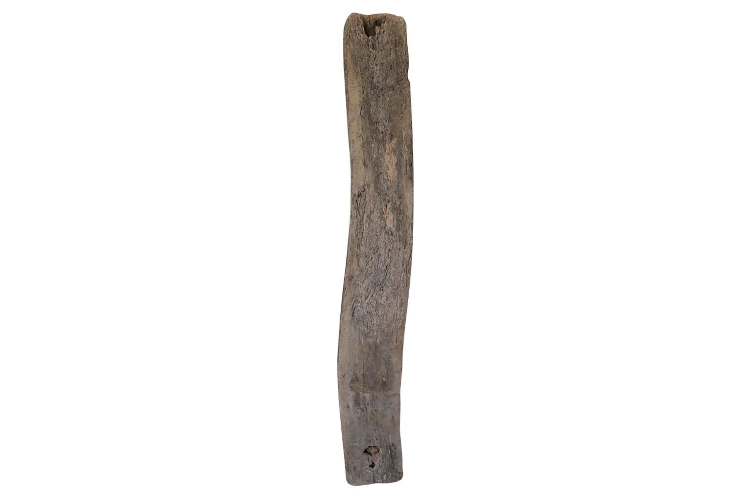Un fabuleux fusil à cachette espagnol du 17ème siècle - Plaques de fusil. Créé à partir d'une planche de pin Meleze, coupée en deux, avec une zone découpée à l'intérieur où serait caché un fusil. Un formidable sujet de conversation - merveilleux
