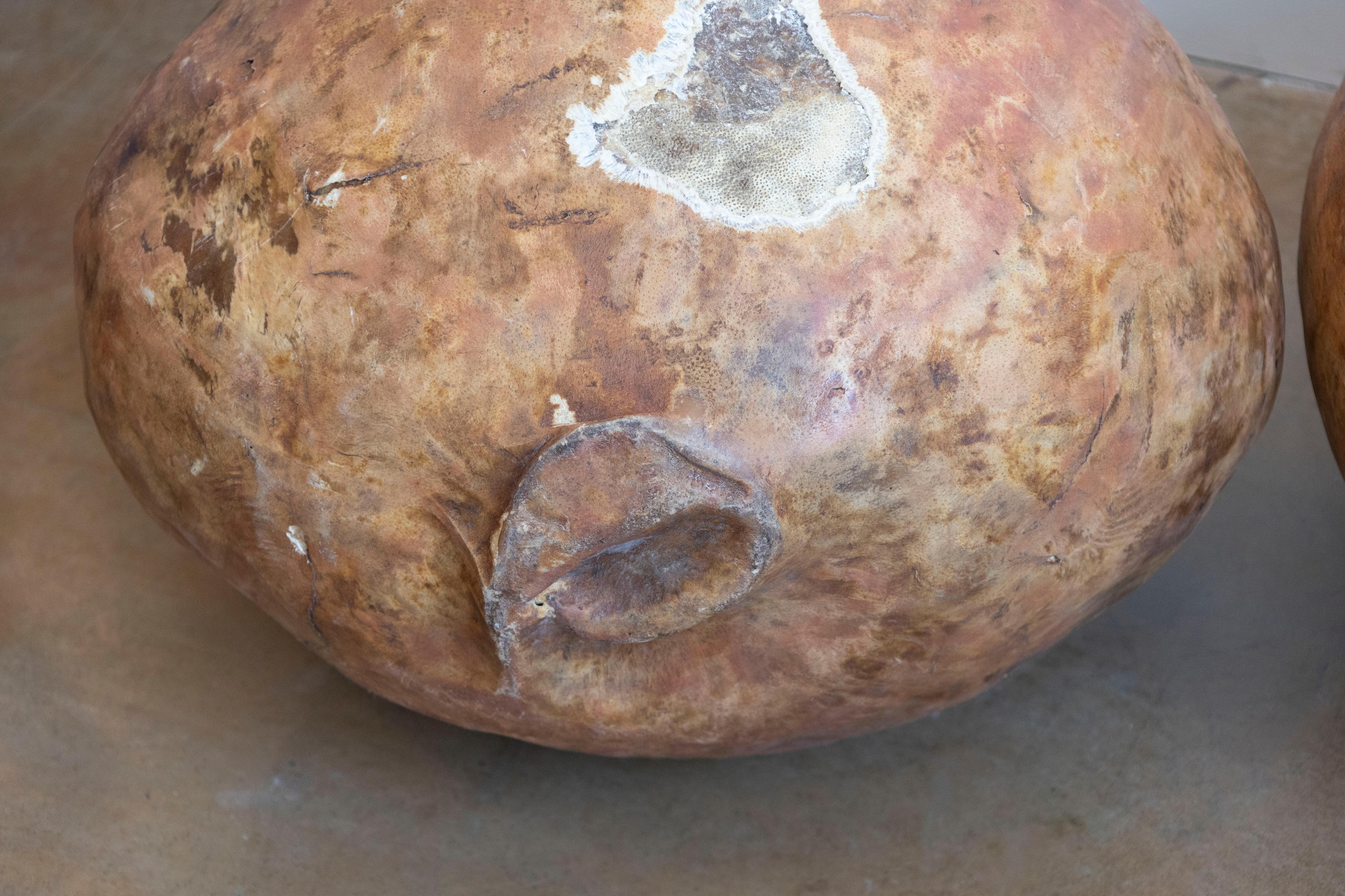 Espagnol Grande jarre à huile d'olive espagnole en papier mâché à patine vieillie, vers 1830 en vente