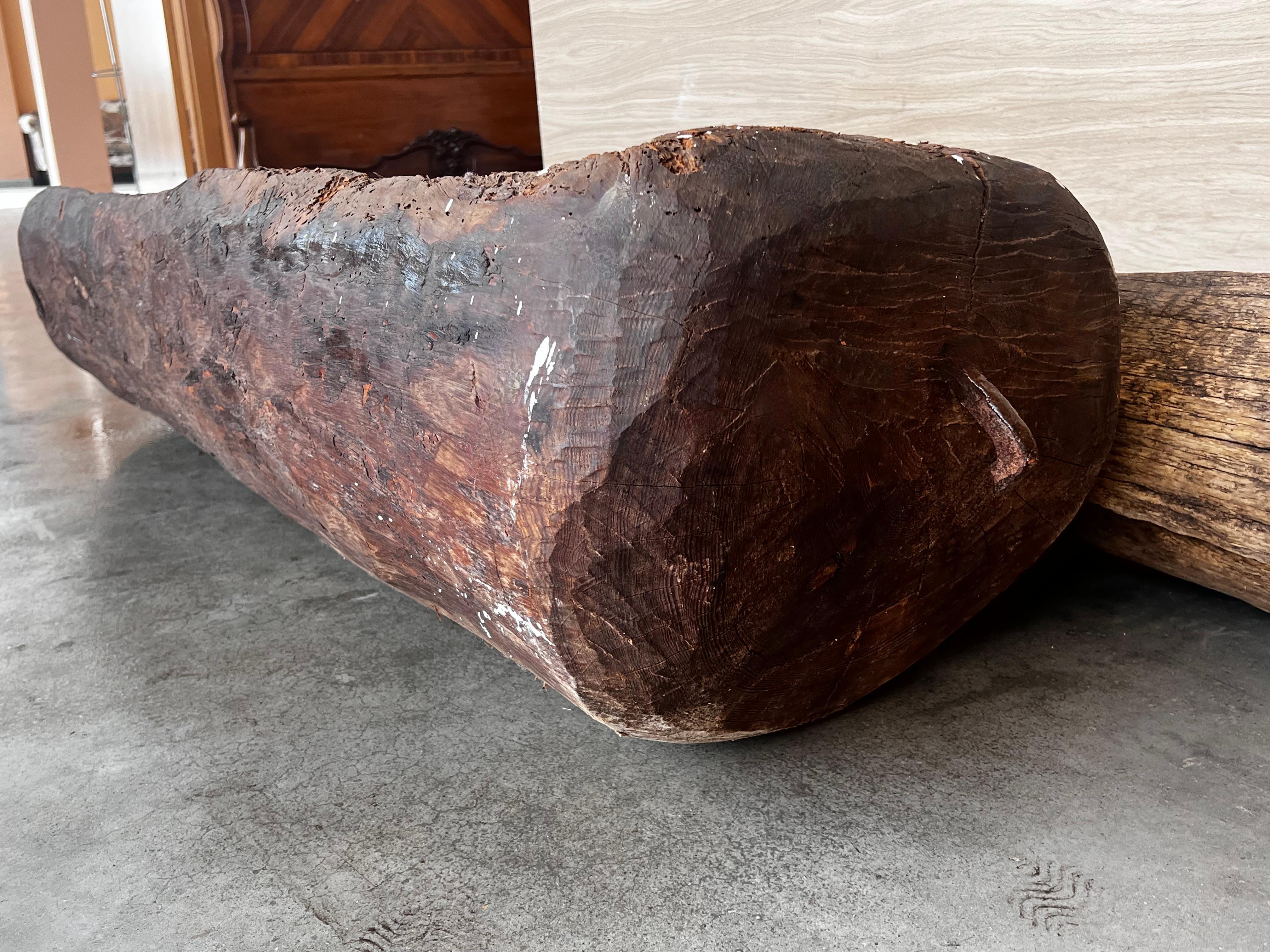 18th Century and Earlier Spanish Antique & Brutalist Hollowed Out Tree Trunk Wooden Planter, 1700 For Sale