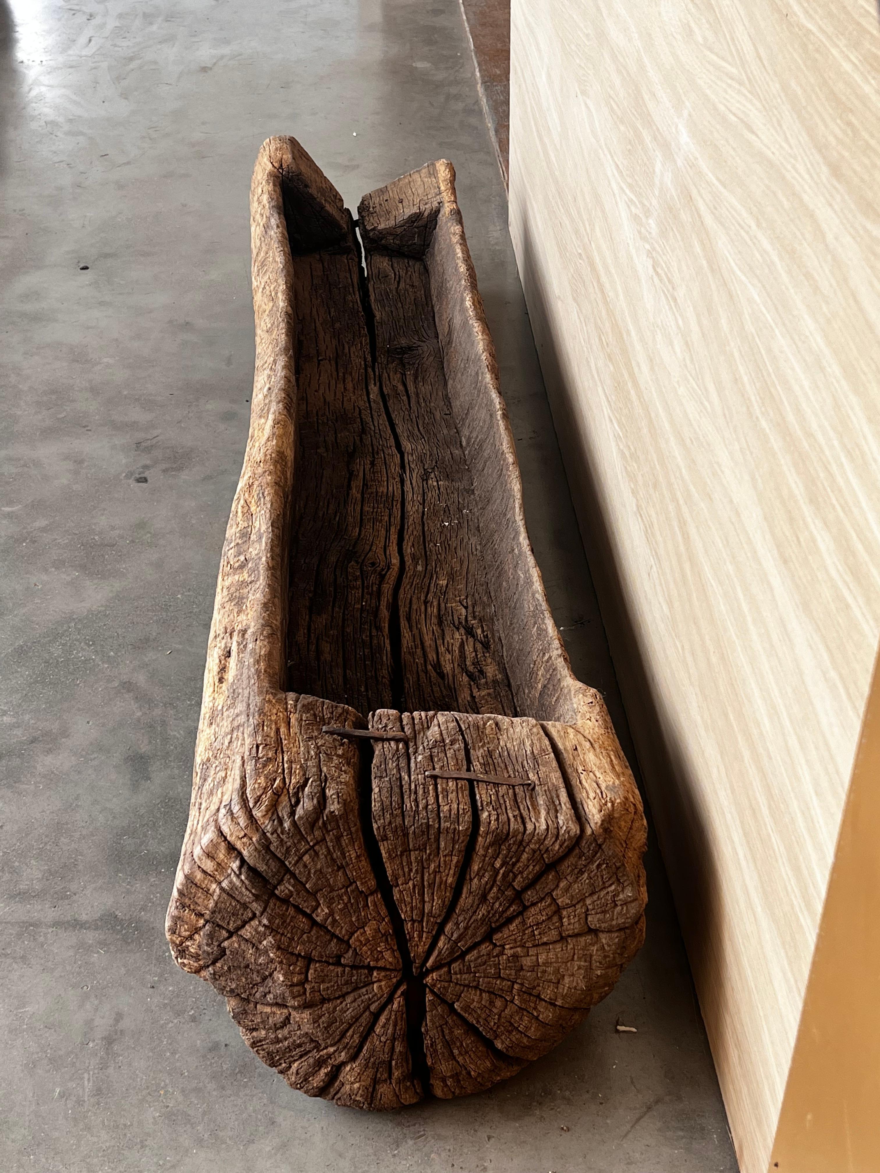 Spanish Antique & Brutalist Hollowed Out Tree Trunk Wooden Planter, 1700 For Sale 3