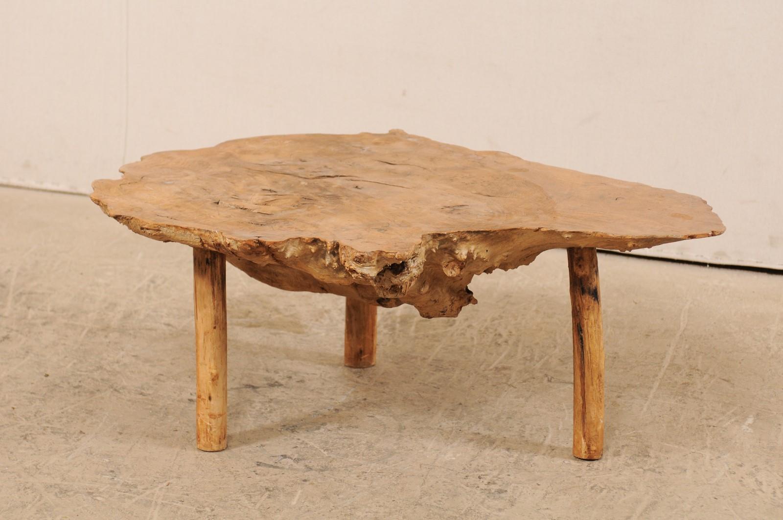 A Spanish coffee table of burl wood from the turn of the 19th-20th century. This antique table from Spain features a large single section of burl wood, with smooth top showing the beautifully formed rings, and natural live-edge along sides. The