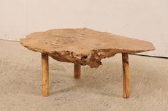 Spanish Antique Live-Edge Burl Wood Coffee Table