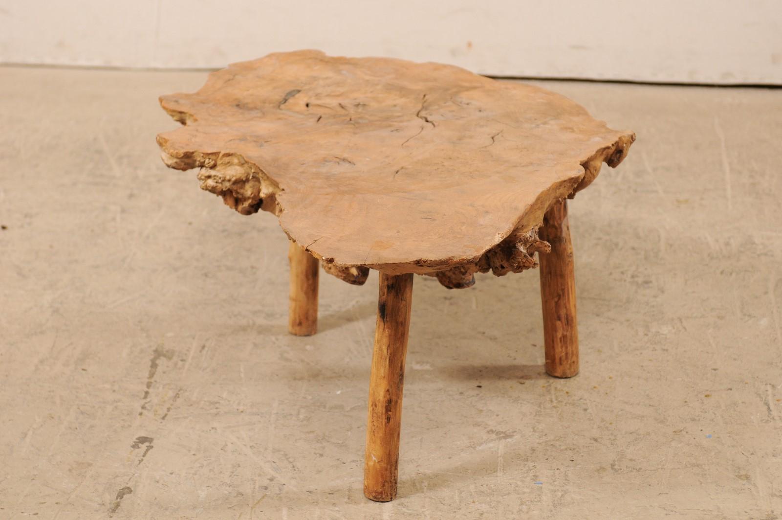 19th Century Spanish Antique Live-Edge Burl Wood Coffee Table