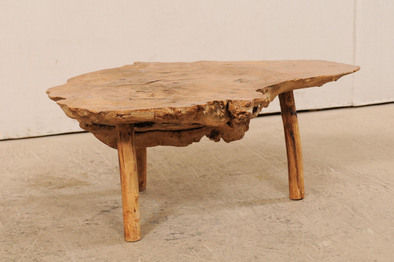 Spanish Antique Live-Edge Burl Wood Coffee Table 2