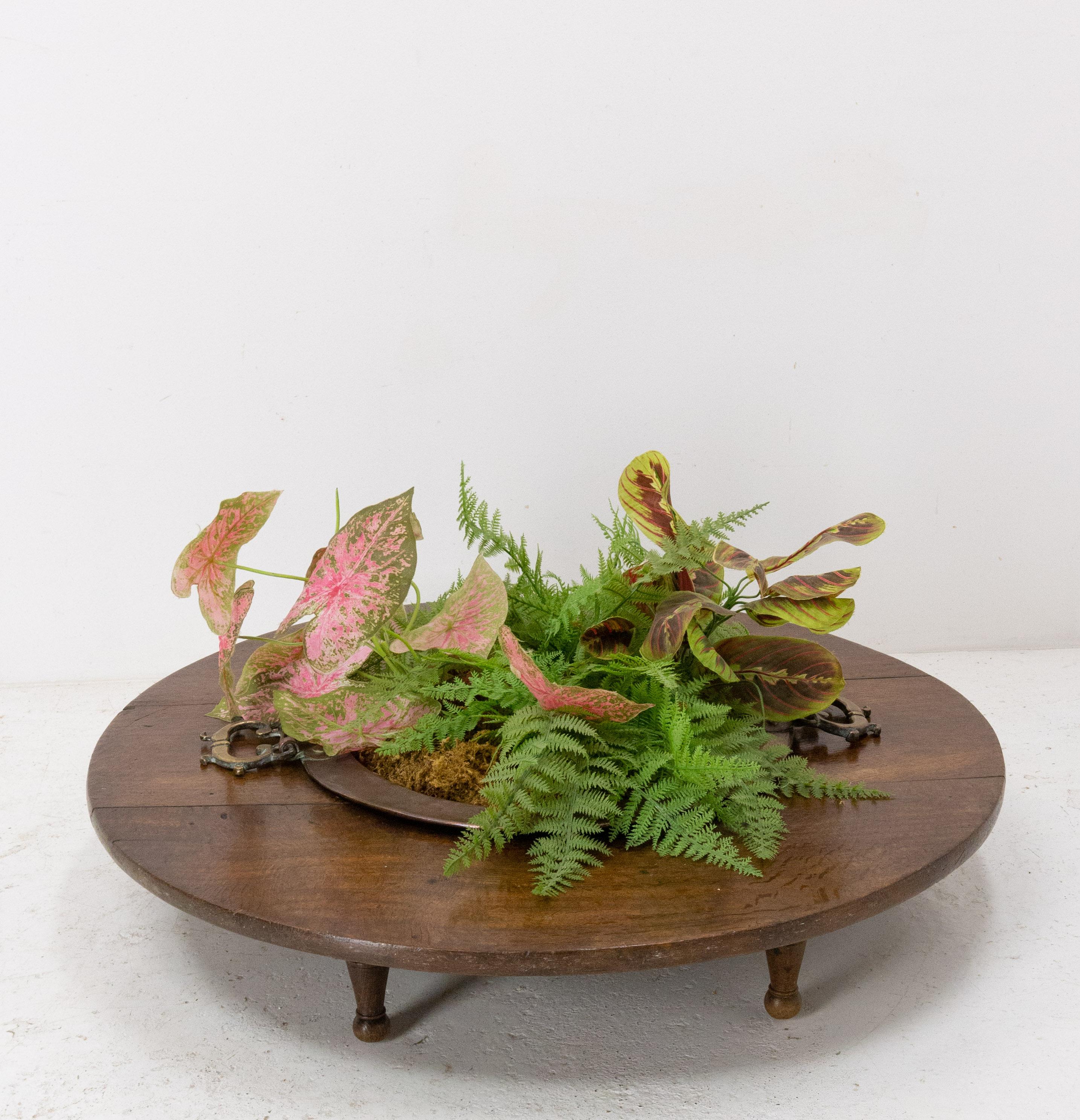 Spanish Basque Oak Copper Brasero Planter, 19th Century For Sale 2