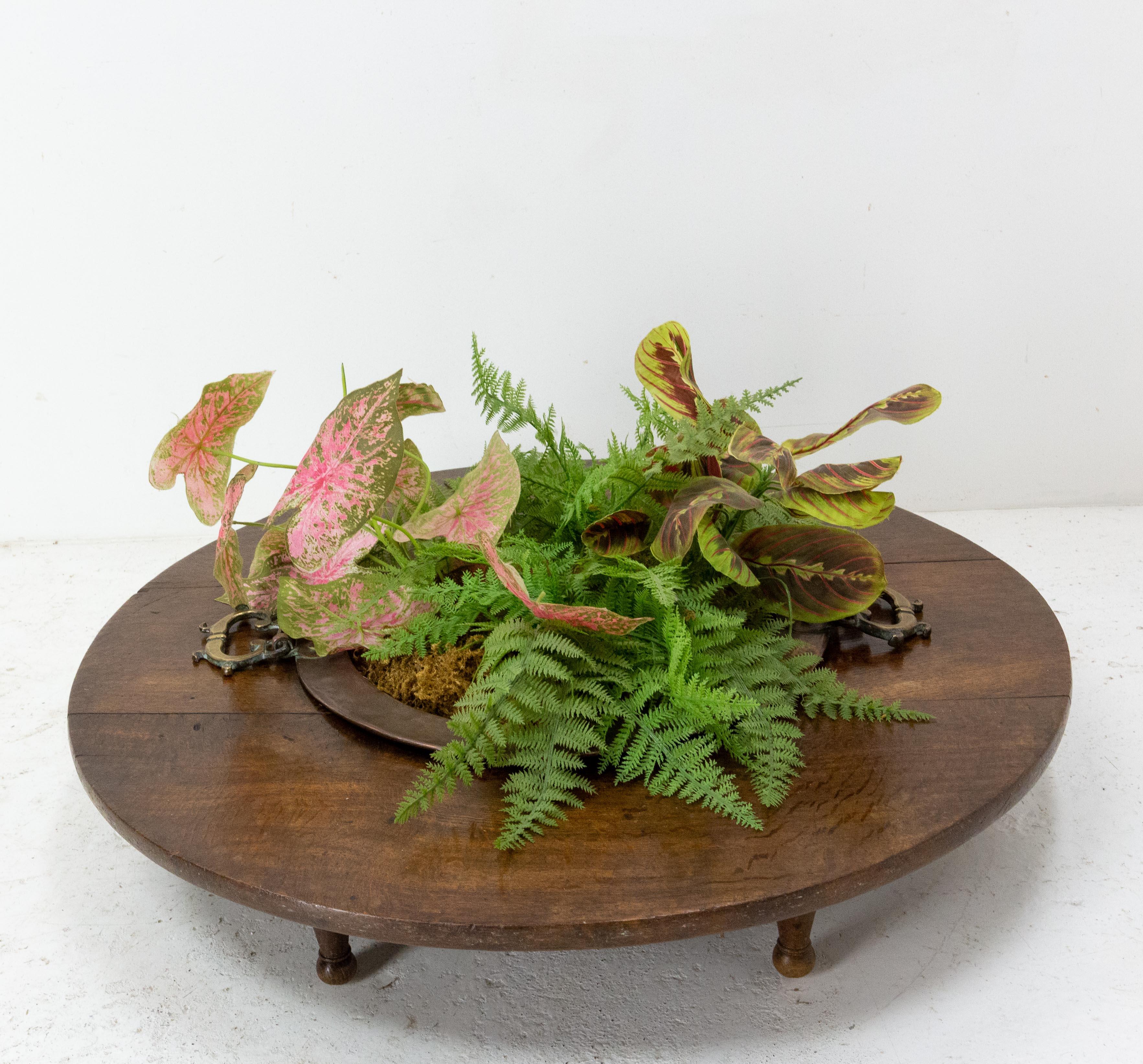 Spanish Basque Oak Copper Brasero Planter, 19th Century For Sale 3