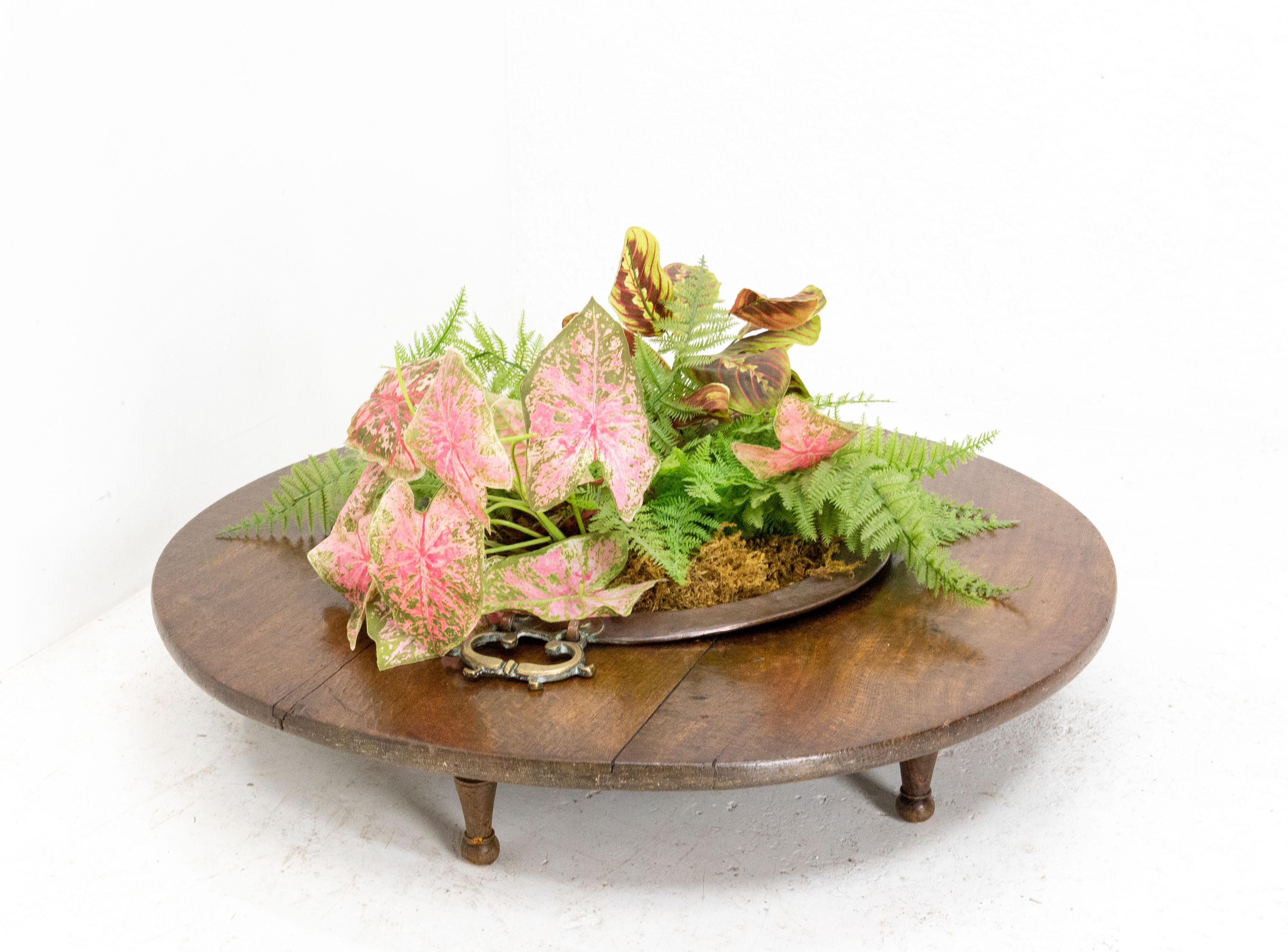 Spanish Basque Oak Copper Brasero Planter, 19th Century For Sale 4