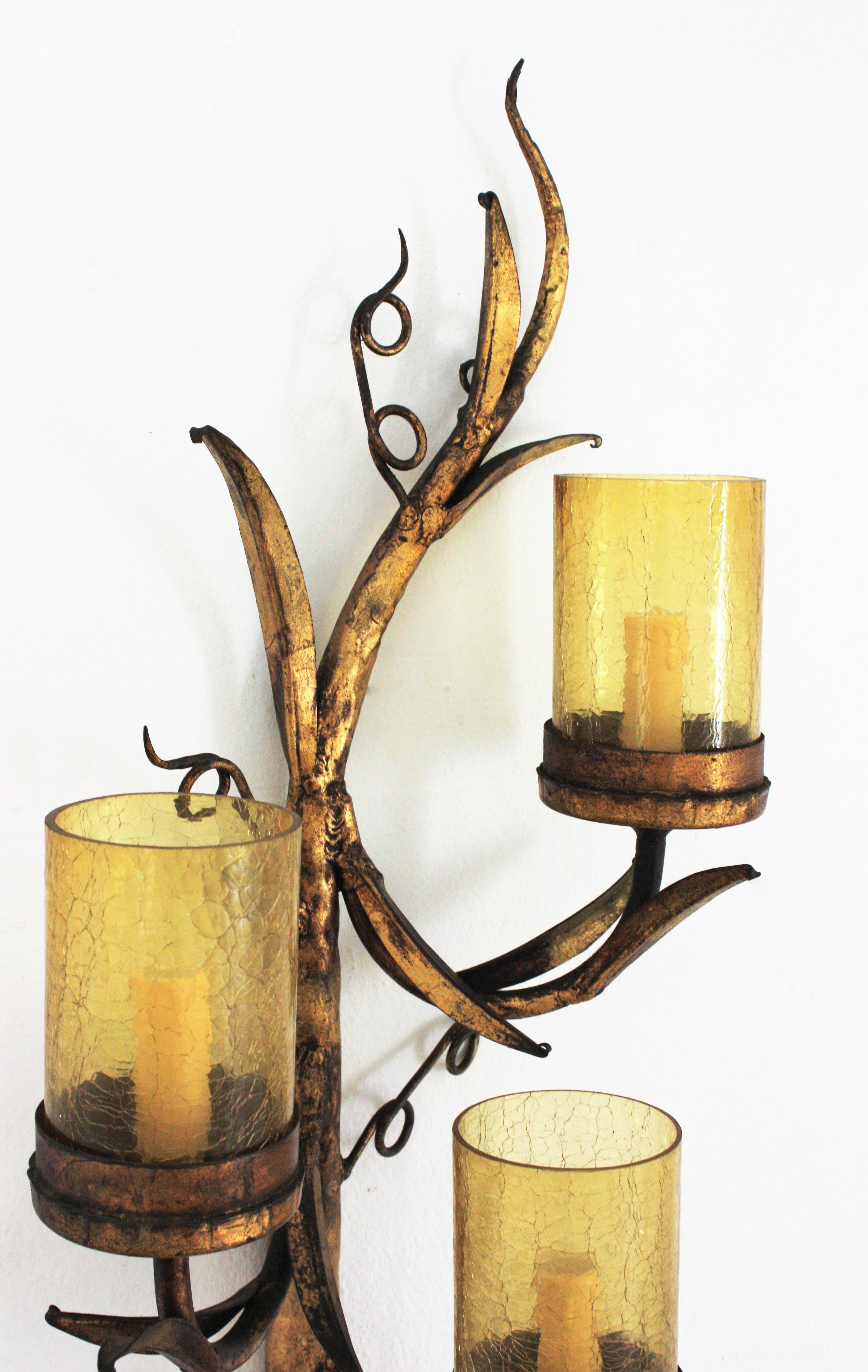 Spanish Foliage Branch Wall Sconce in Gilt Iron and Glass, 1950s For Sale 5
