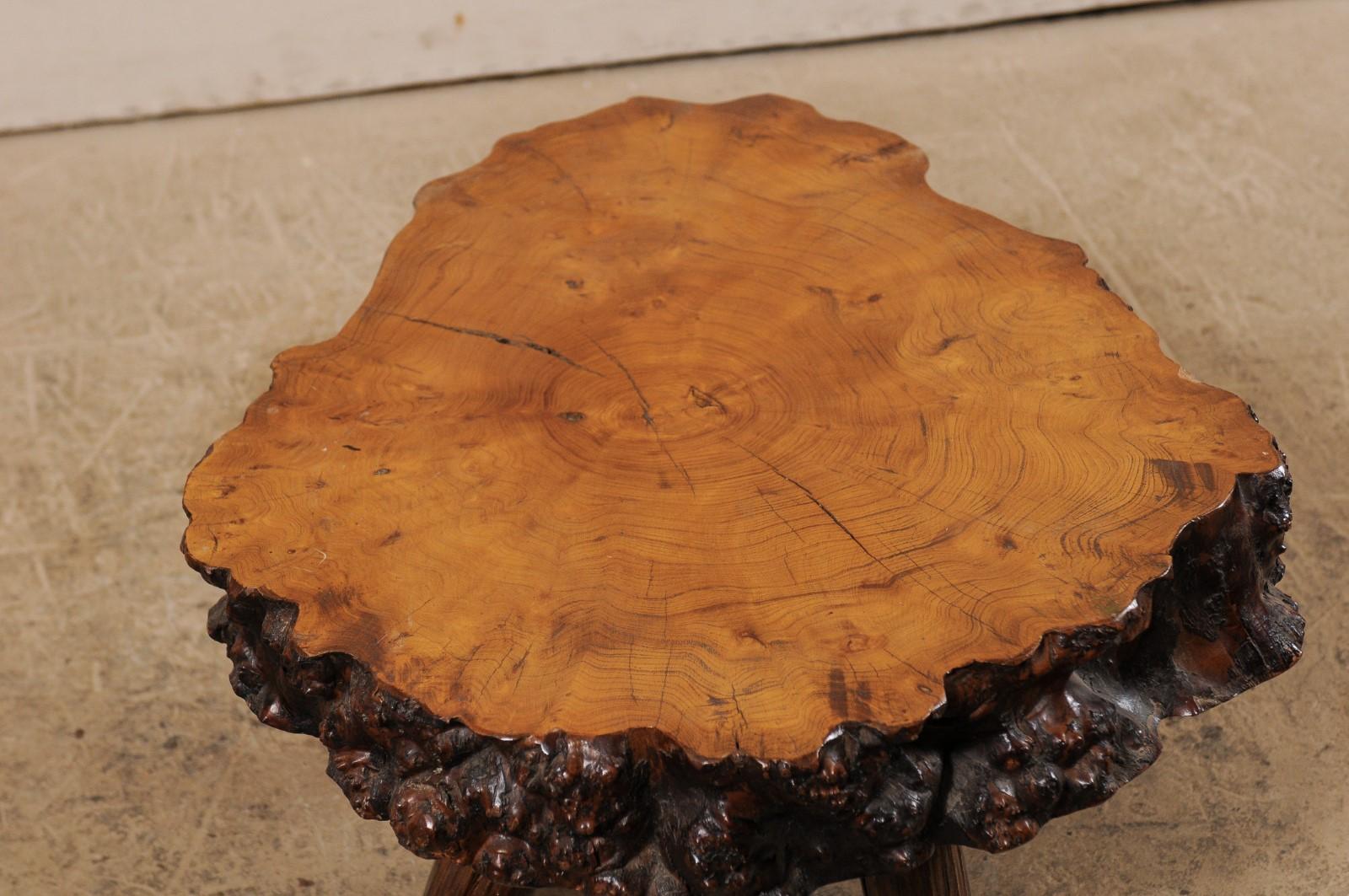 Spanish Burl Wood Slab Rustic Coffee Table For Sale 7