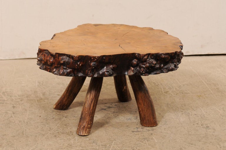 An early 20th century Spanish burl wood slab top coffee table. This antique smaller-size table from Spain features a thick burl wood slab with knobby live-edge, which has been raised on four petite legs of smoothed and de-barked tree limbs. The