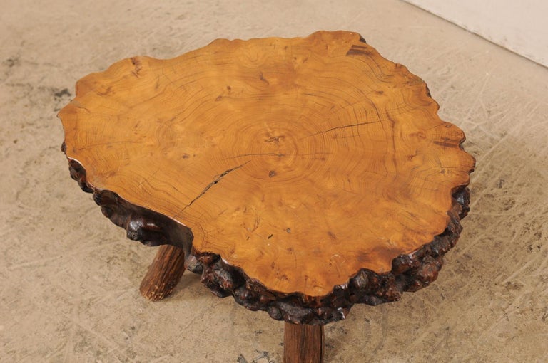 Spanish Burl Wood Slab Rustic Coffee Table For Sale 1