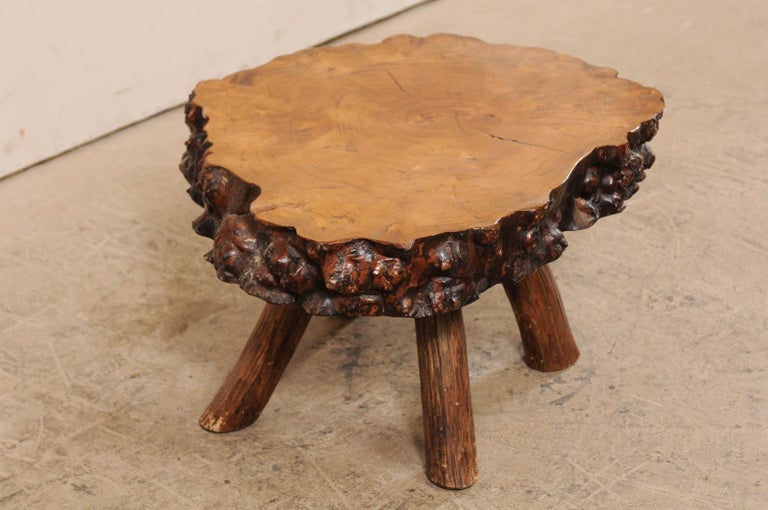 Spanish Burl Wood Slab Rustic Coffee Table For Sale 2