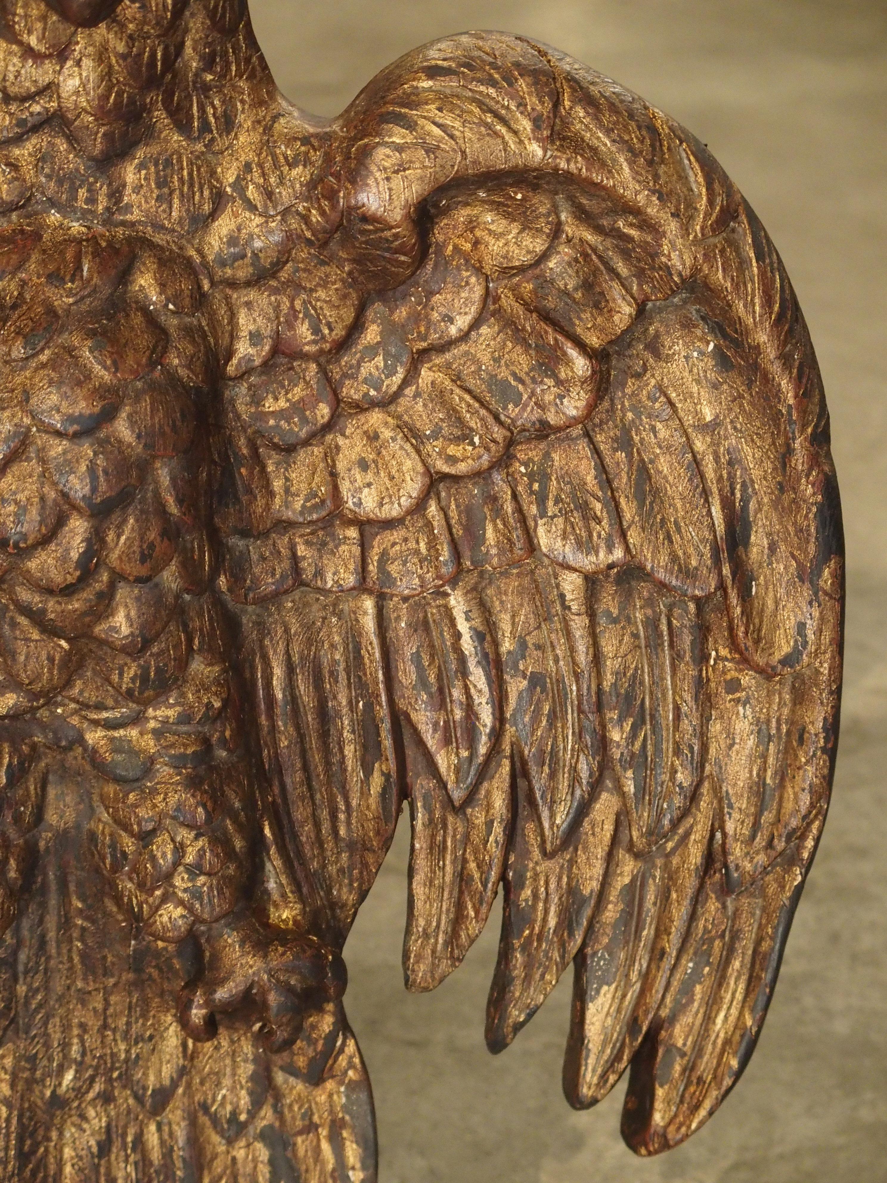 Spanish Carved Giltwood Eagle, 18th Century 5