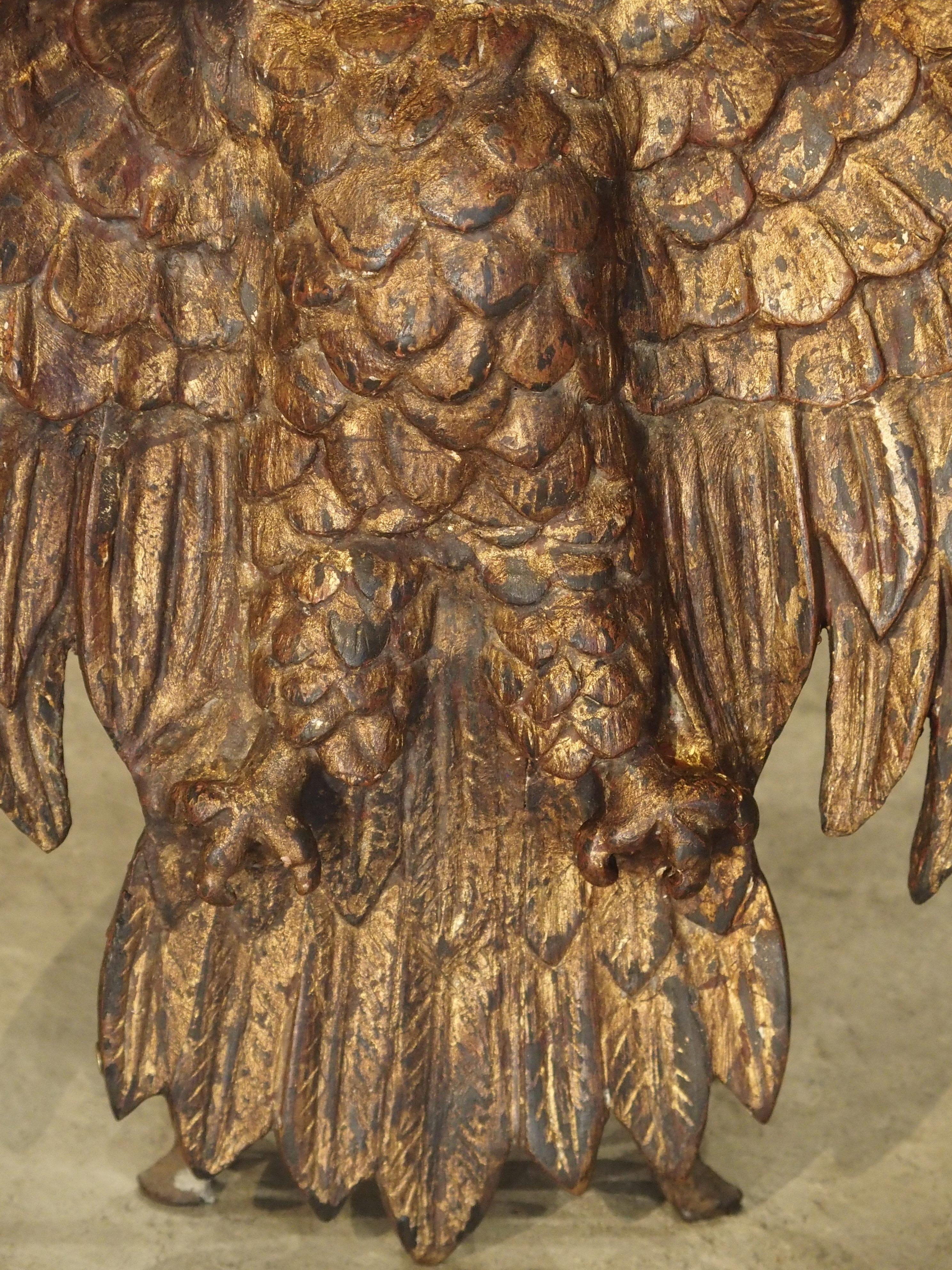 Spanish Carved Giltwood Eagle, 18th Century 6