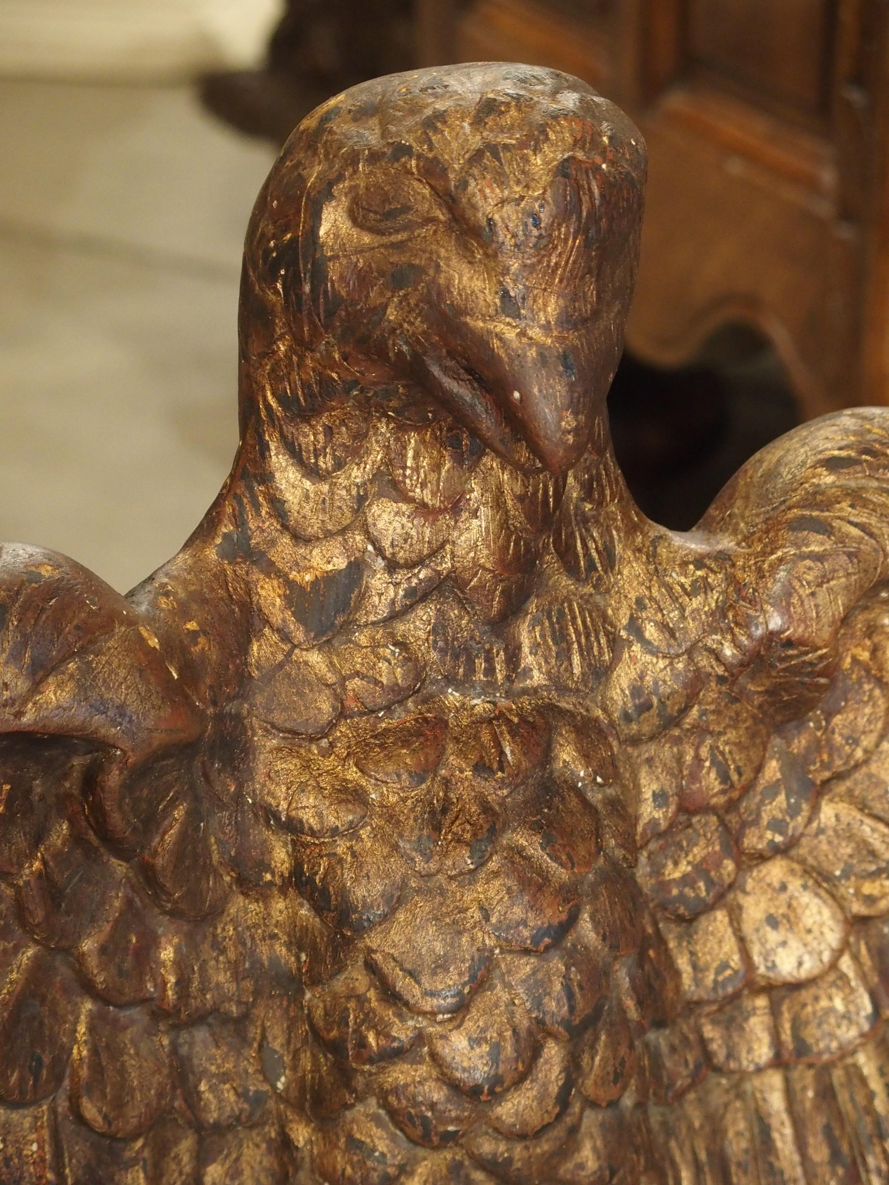 From Spain, this impressive hand-carved eagle dates to the 1700s. Most likely it was part of an architectural, more specifically a larger heraldic crest or carving. Eagles represent strength and immortality and have been depicted in art and