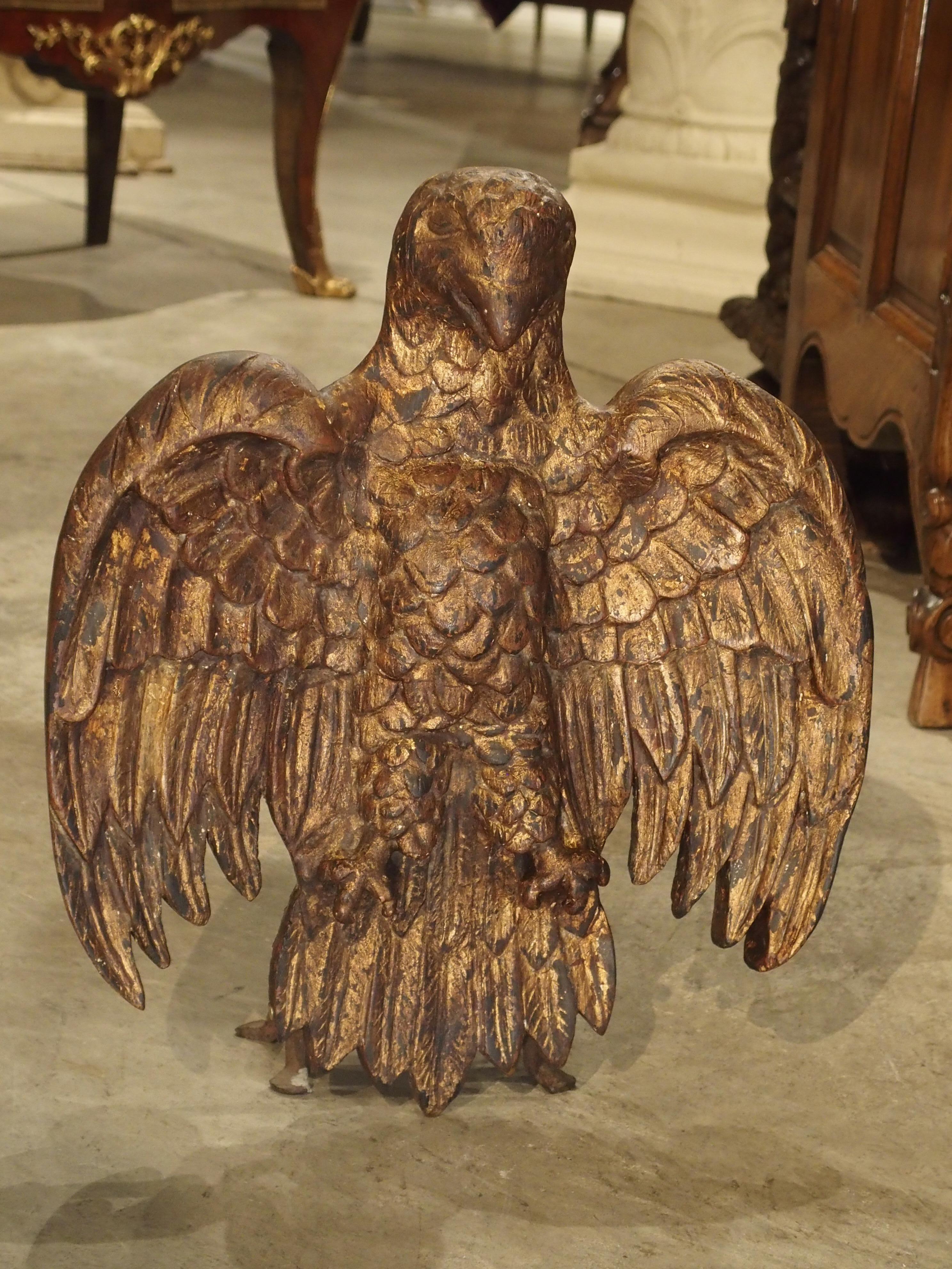 Spanish Carved Giltwood Eagle, 18th Century In Good Condition In Dallas, TX