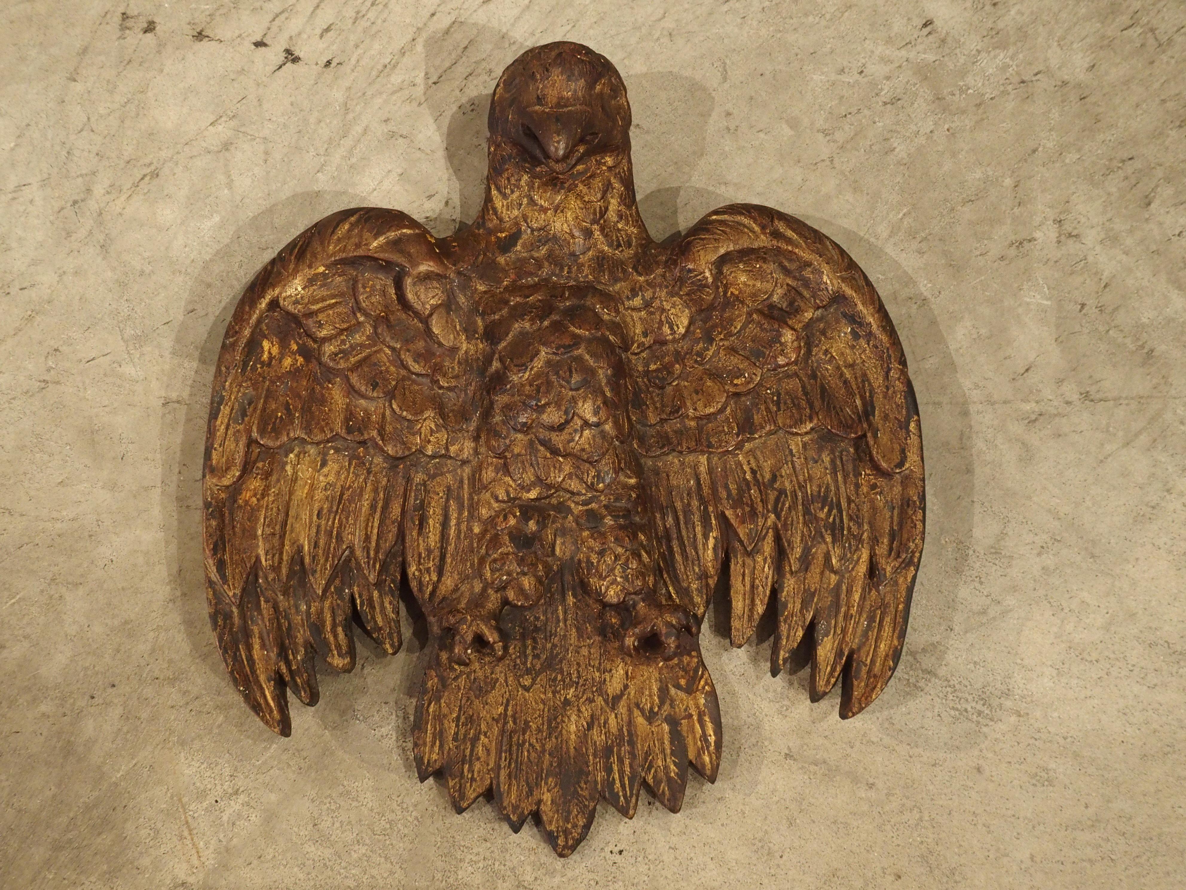 Spanish Carved Giltwood Eagle, 18th Century 2