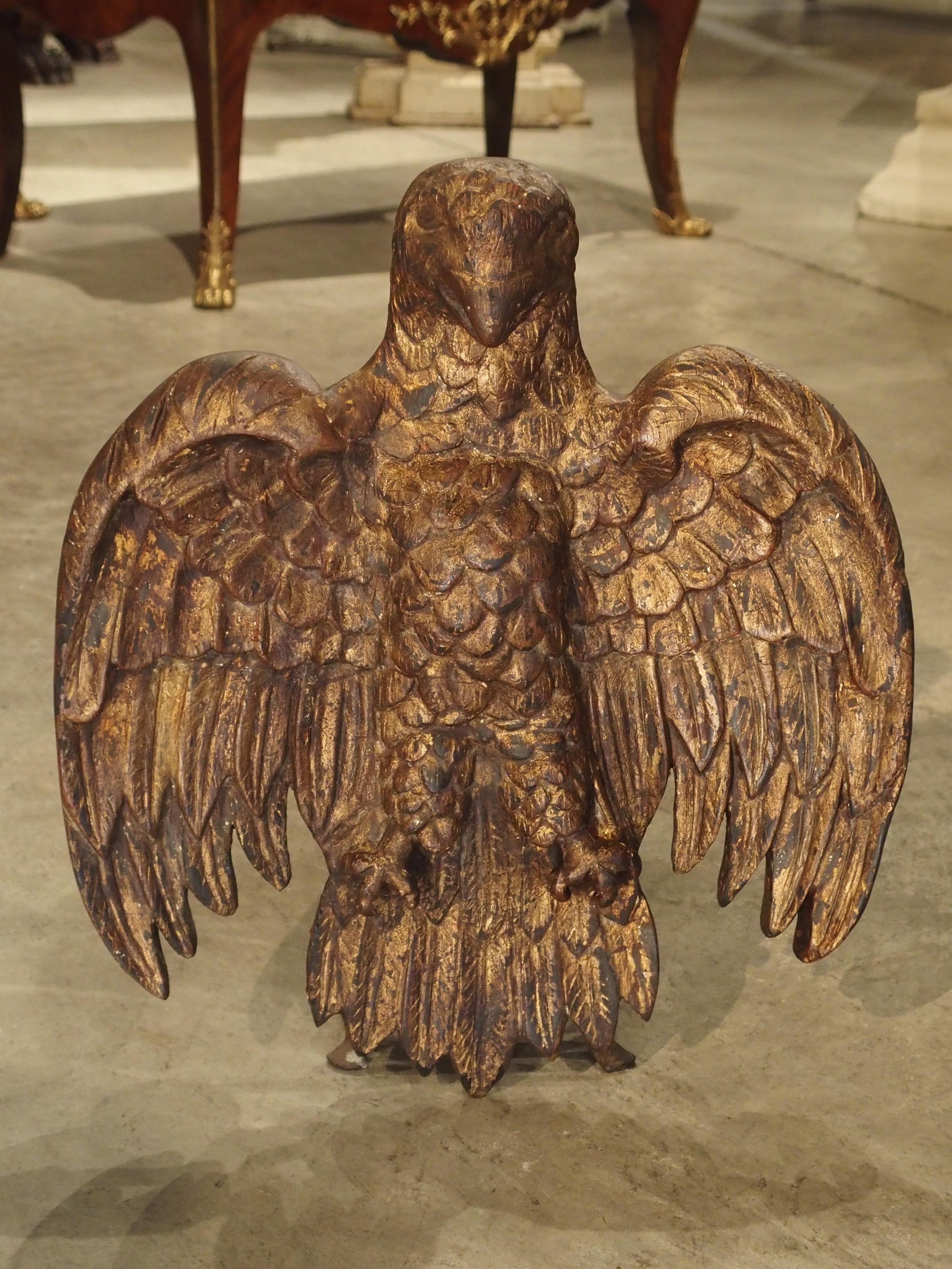 Spanish Carved Giltwood Eagle, 18th Century 3