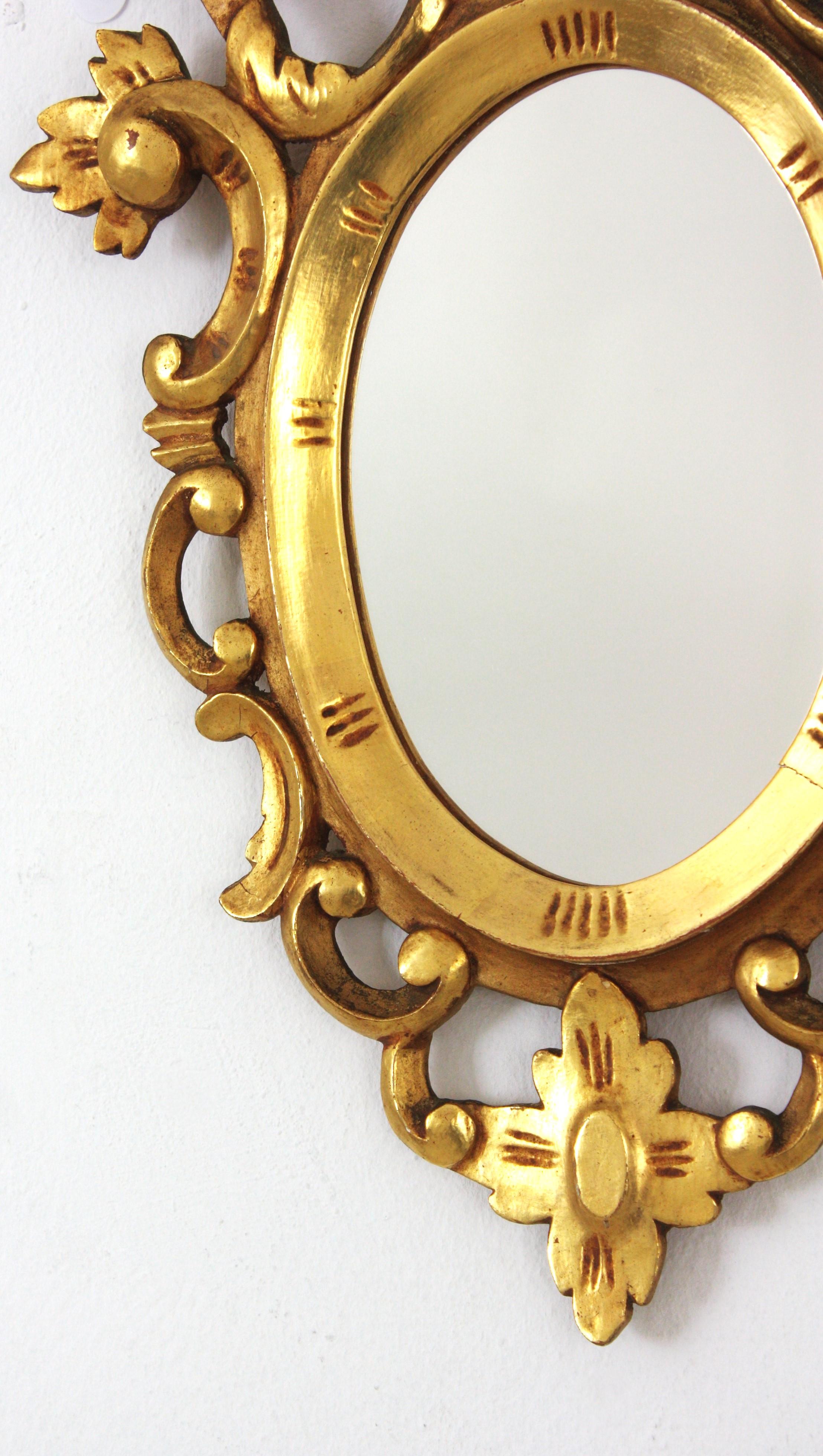Spanish Carved Giltwood Mirror, Rococo Style For Sale 5