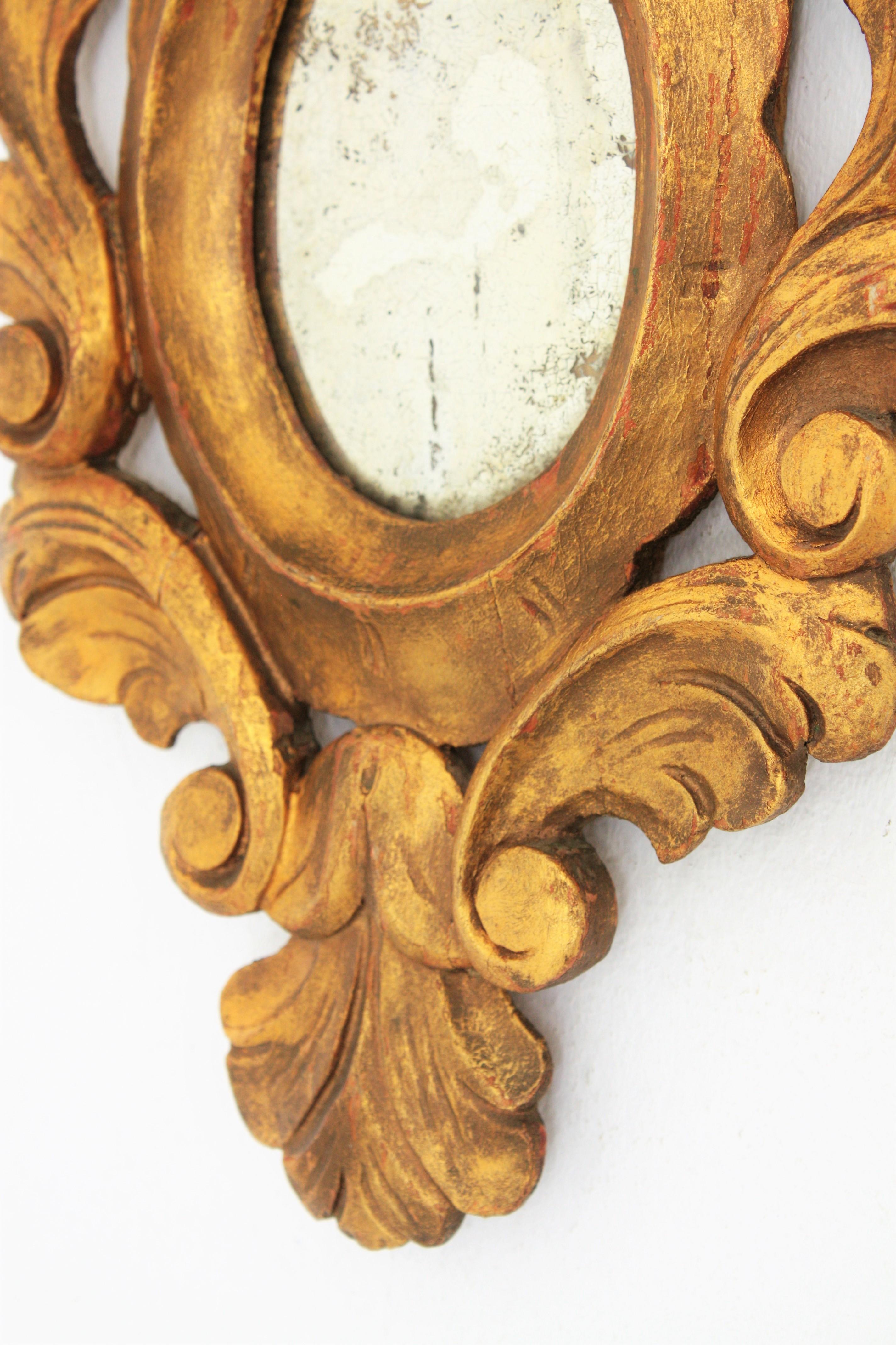 Spanish Carved Giltwood Mirror, Rococo Style 4