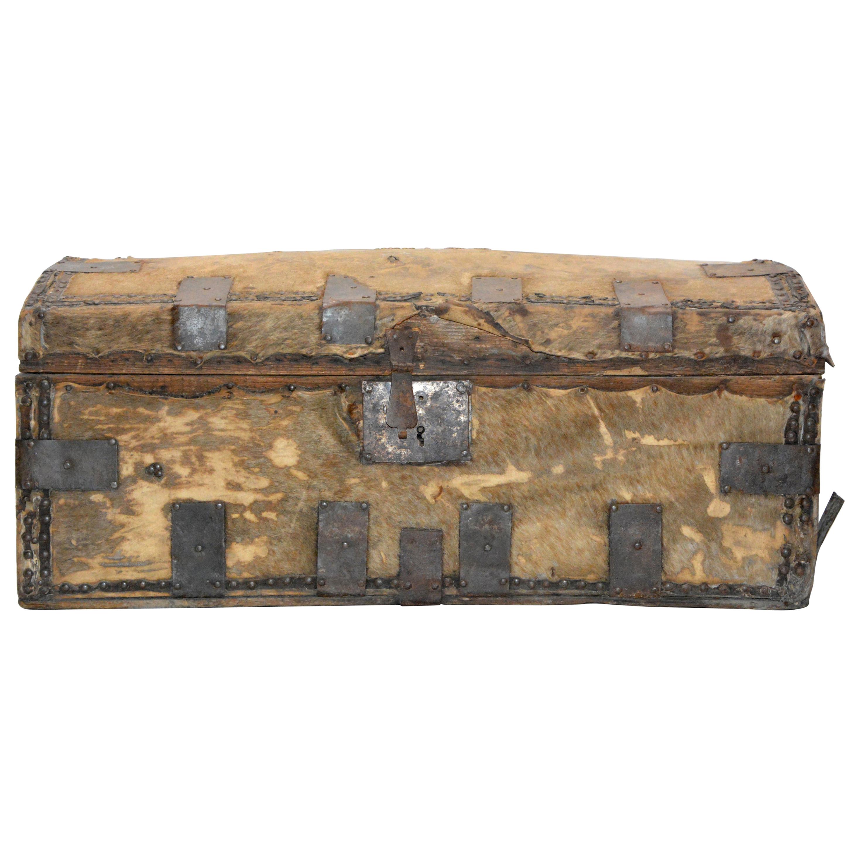 Spanish Colonial Hide Covered Trunk, 19th Century For Sale
