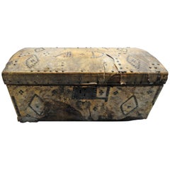 Spanish Colonial Trunk Covered in Hide, 19th Century