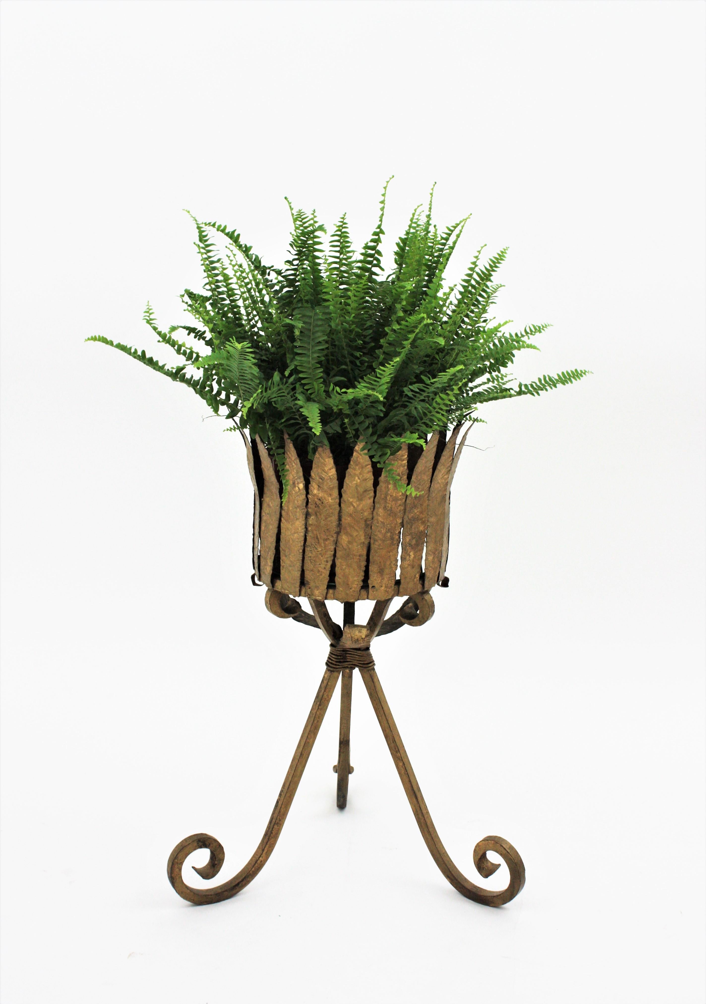 Wought gilt iron leafed planter or bottle stand standing on a tripod base. Manufactured at the Mid-Century Modern period, Spain, 1950-1960.
This eyecatching handcrafted iron stand features a leafed top standing on a tripod base with scroll endings.