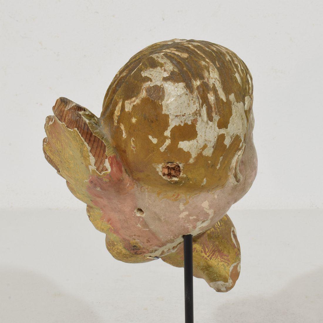 Tête d'ange ailée espagnole du début du 20e siècle sculptée à la main en vente 4