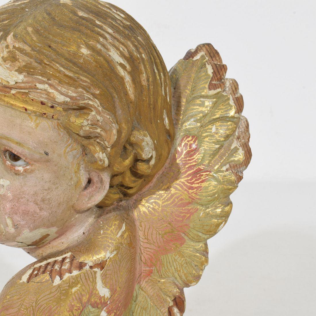 Tête d'ange ailée espagnole du début du 20e siècle sculptée à la main en vente 8