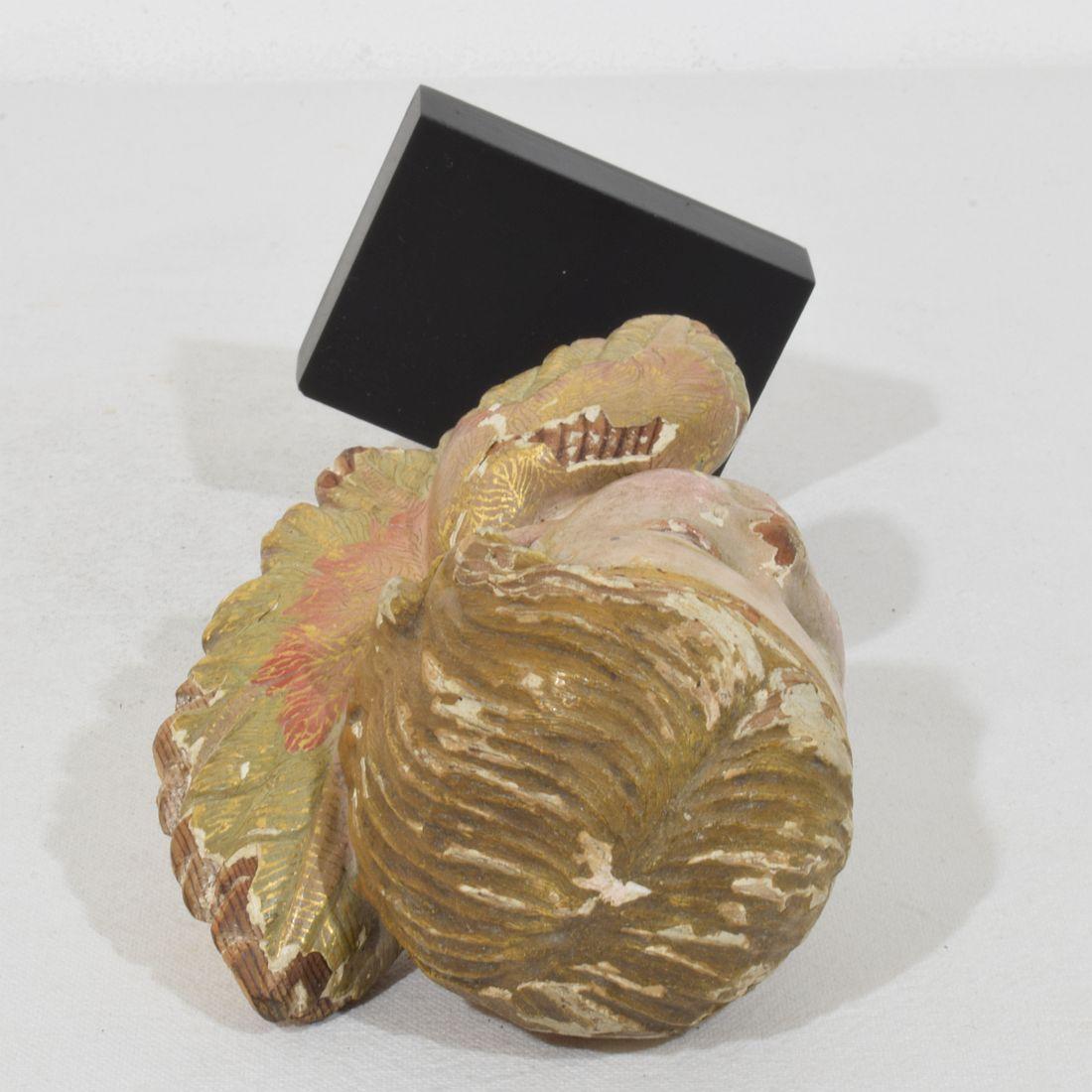 Tête d'ange ailée espagnole du début du 20e siècle sculptée à la main en vente 11