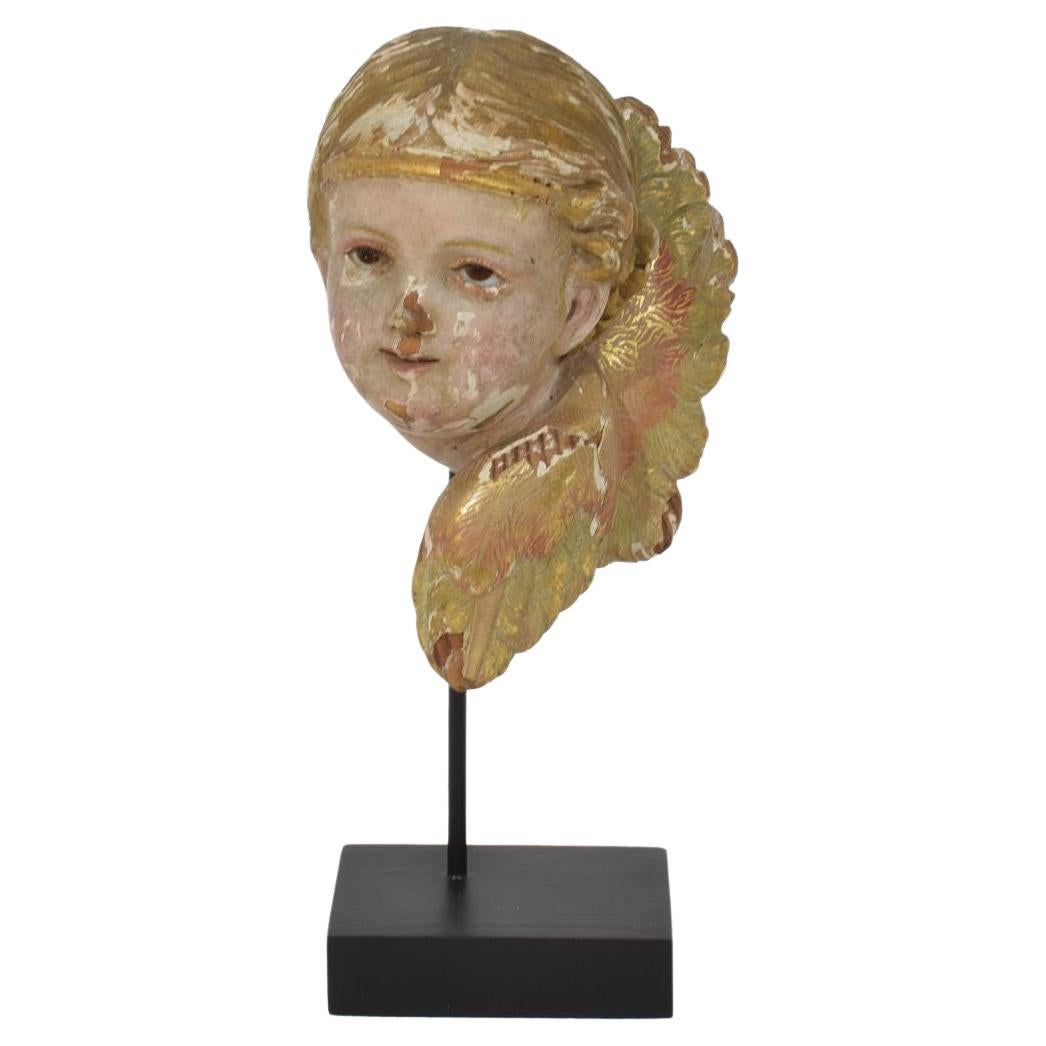 Spanish early 20th Century Hand Carved Winged Angel Head