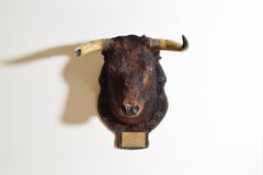 Spanish Fighting Bull Shoulder Mount, "Cabrero", 1st Half 20th century