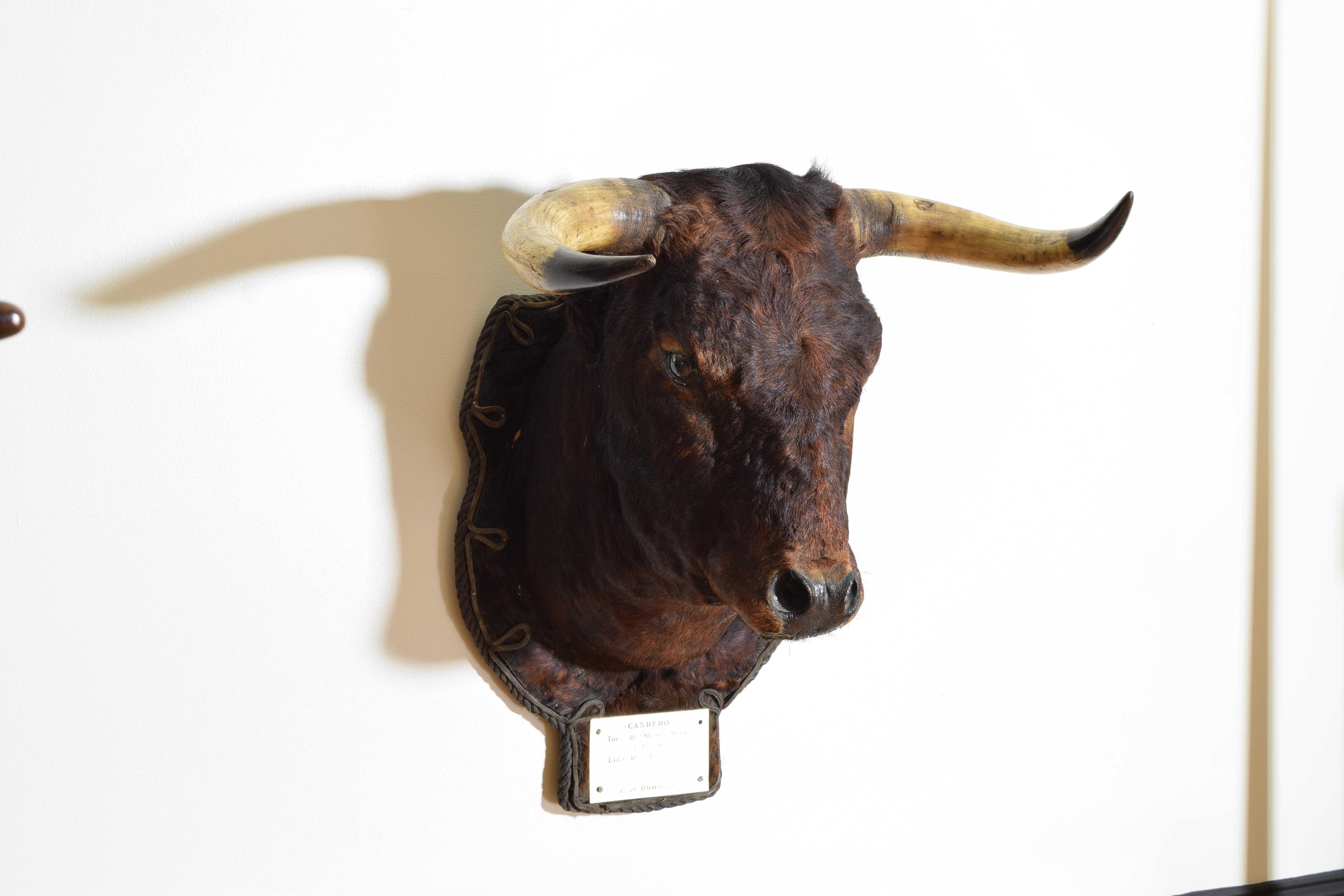 bull mount
