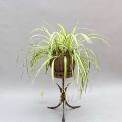 Spanish Gilt Metal Plant Stand, circa 1950s