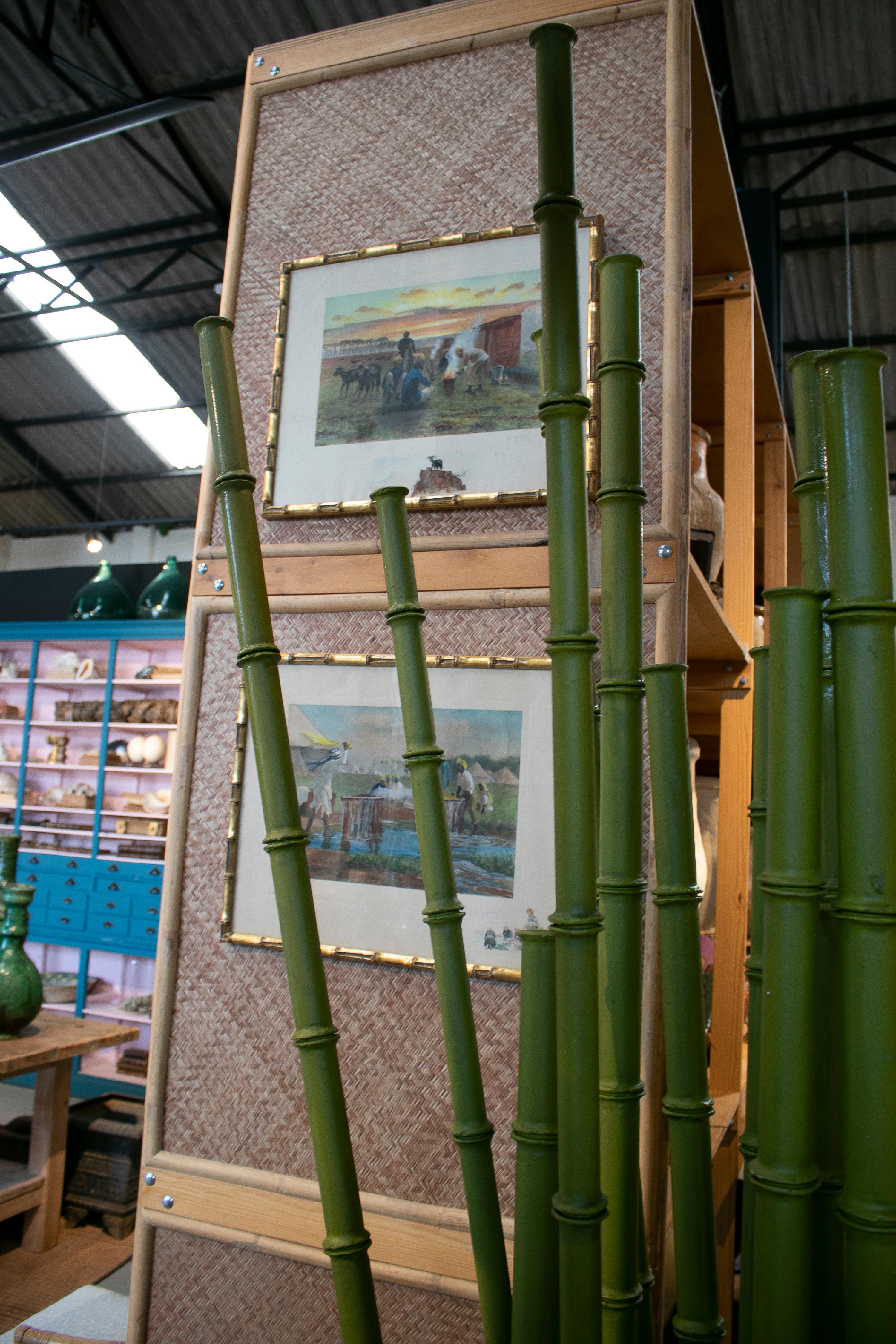 bamboo chino