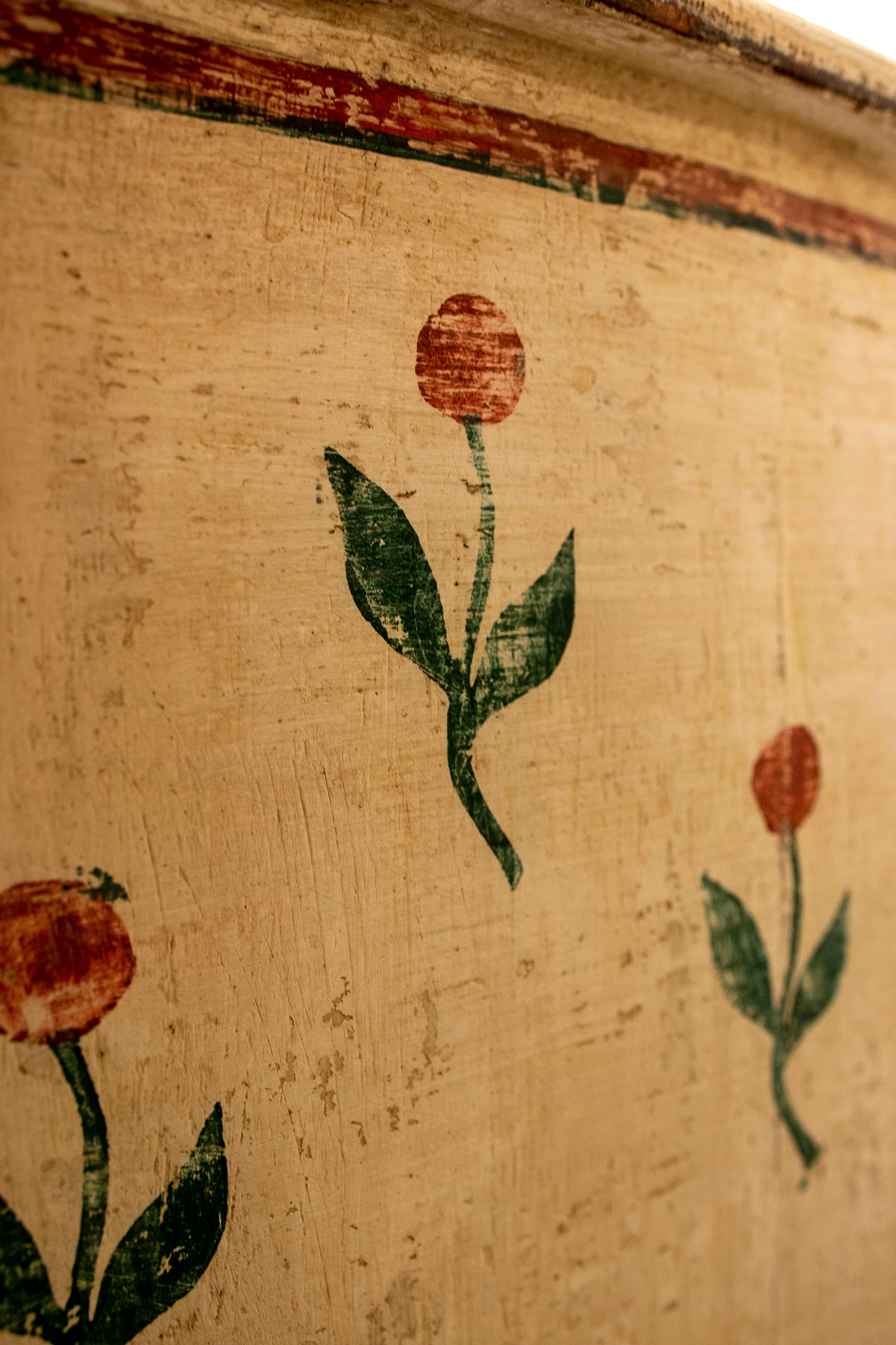 Spanish Hand-Painted Wooden Cabinet with Drawer and Doors with Flowers 4