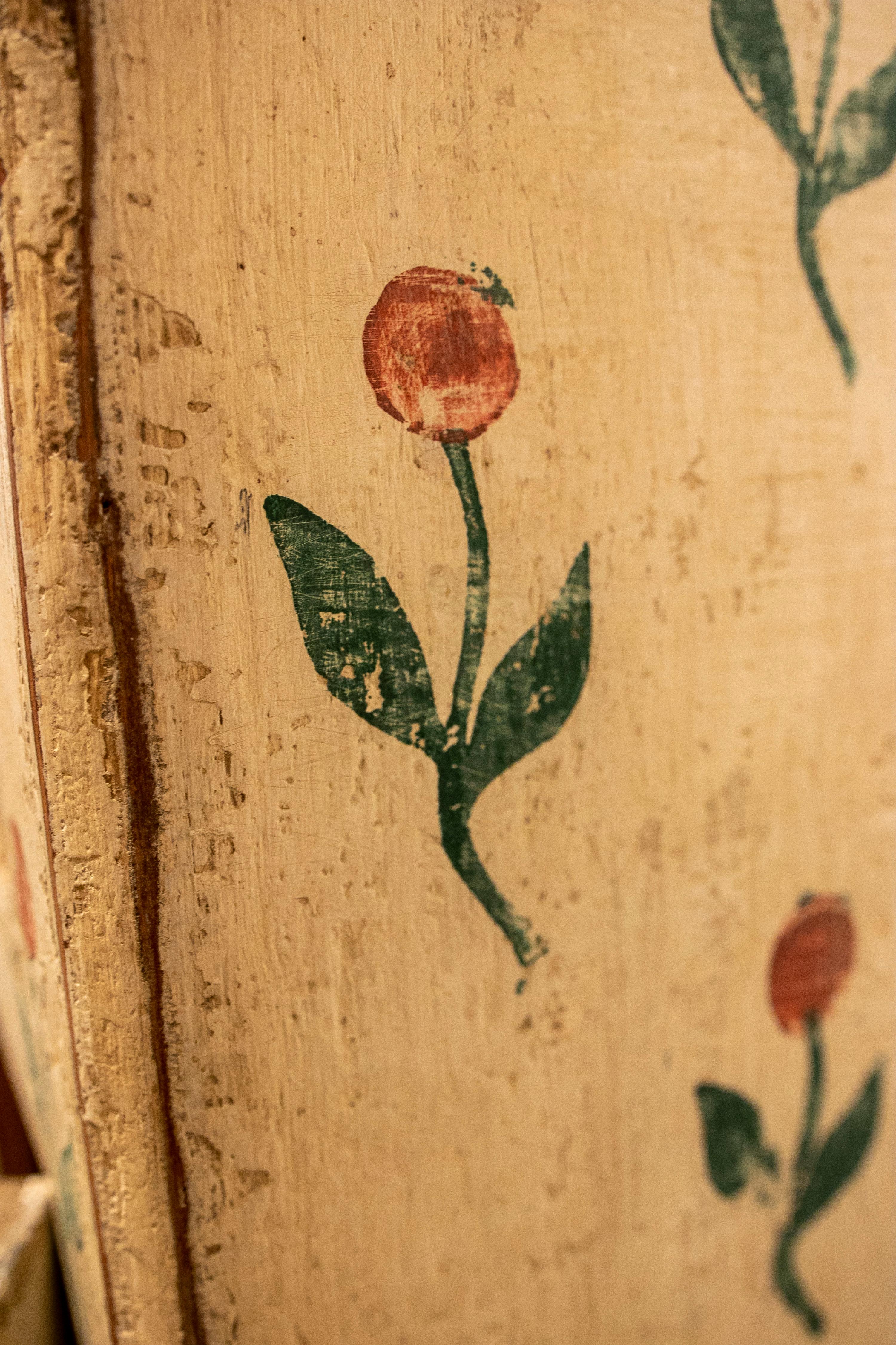Spanish Hand-Painted Wooden Cabinet with Drawer and Doors with Flowers 3