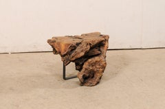 Spanish Knobby Burl Wood Drinks Table w/Iron Legs, 'Also a Great Short Pedestal'