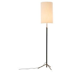 Spanish leather floor lamp 
