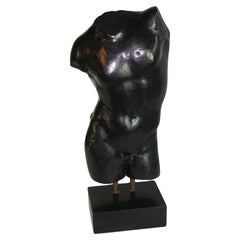 Spanish Male Torso Sculpture