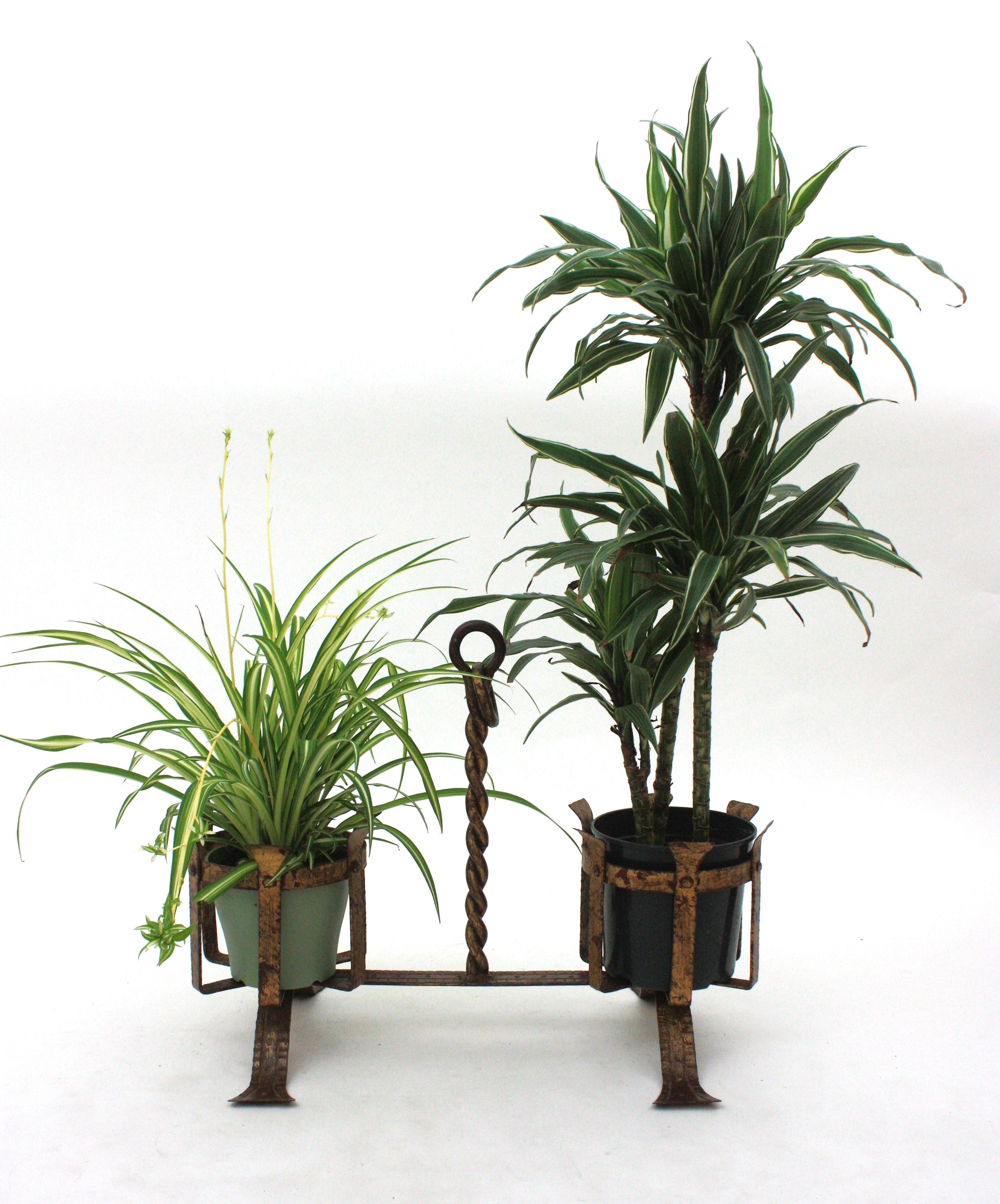 Spanish Medieval Double Planter Jardinière in Gilt Wrought Iron In Good Condition For Sale In Barcelona, ES