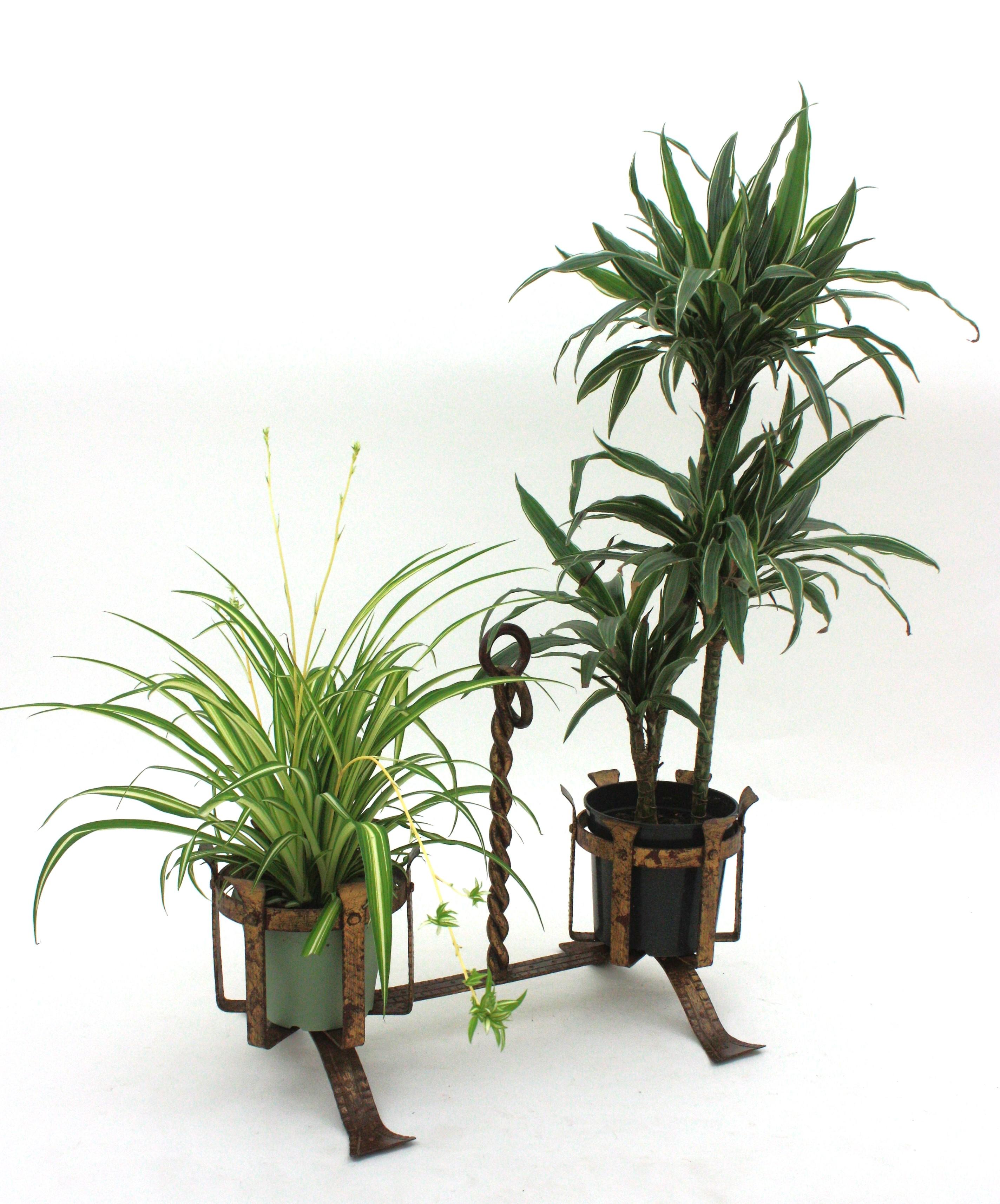Spanish Medieval Double Planter Jardinière in Gilt Wrought Iron For Sale 2