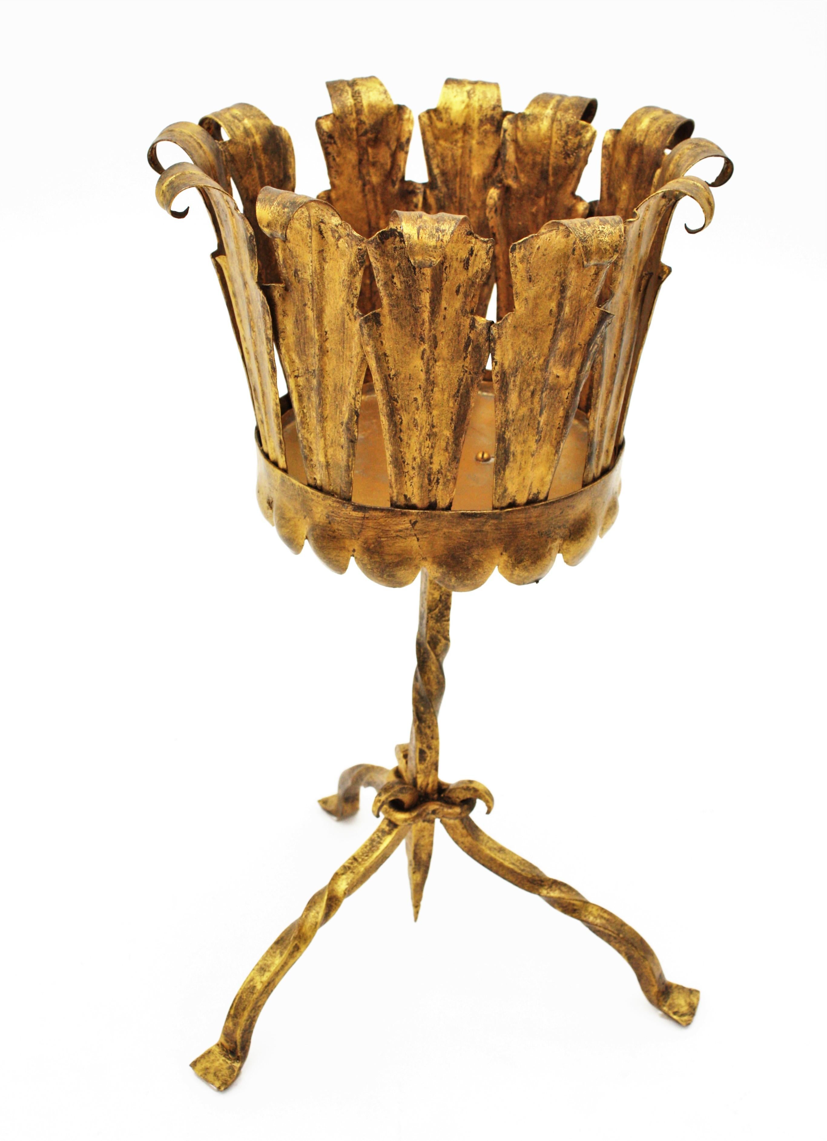 Spanish Tripod Planter in Gilt Wrought Iron For Sale 3