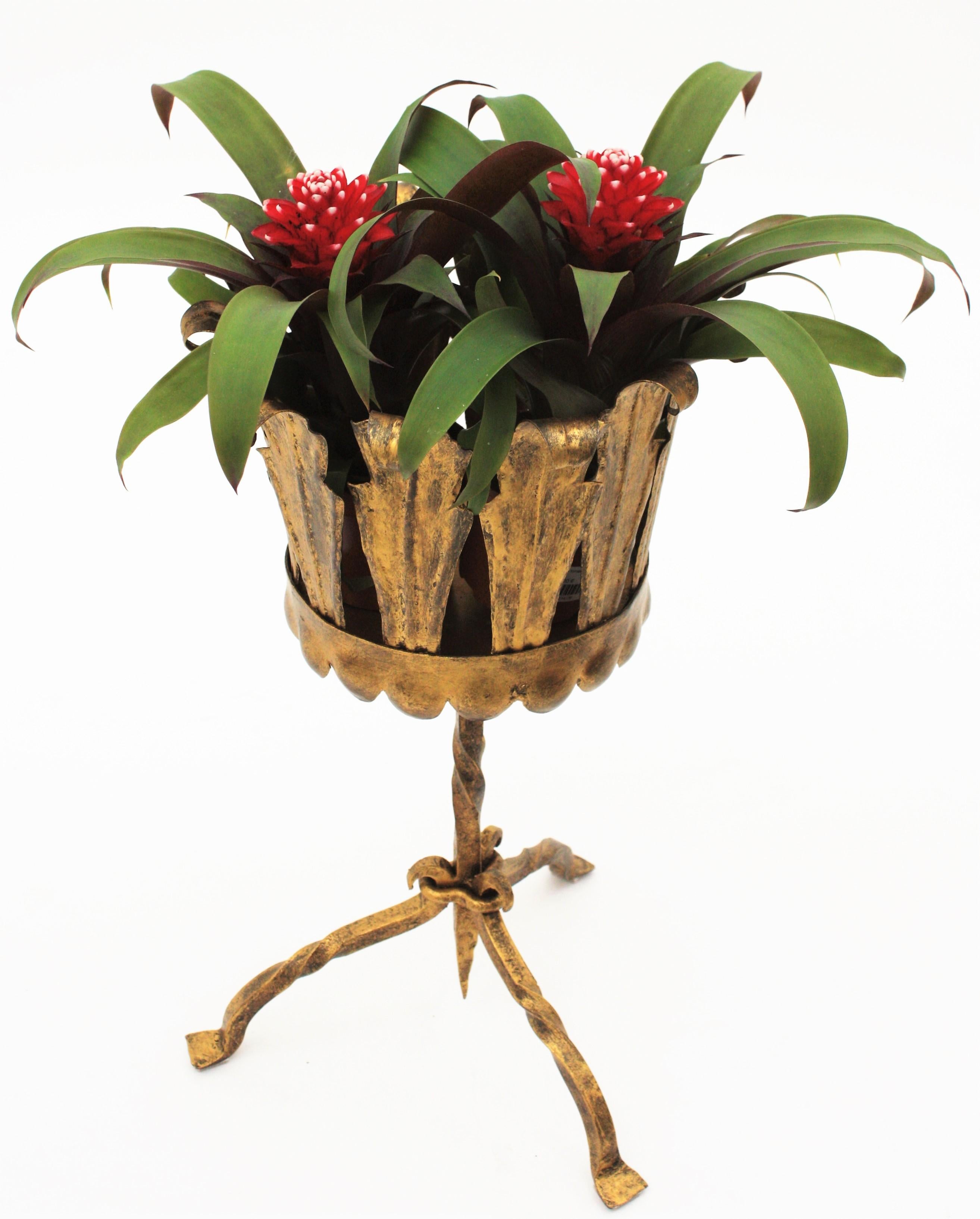 Spanish Tripod Planter in Gilt Wrought Iron In Good Condition For Sale In Barcelona, ES