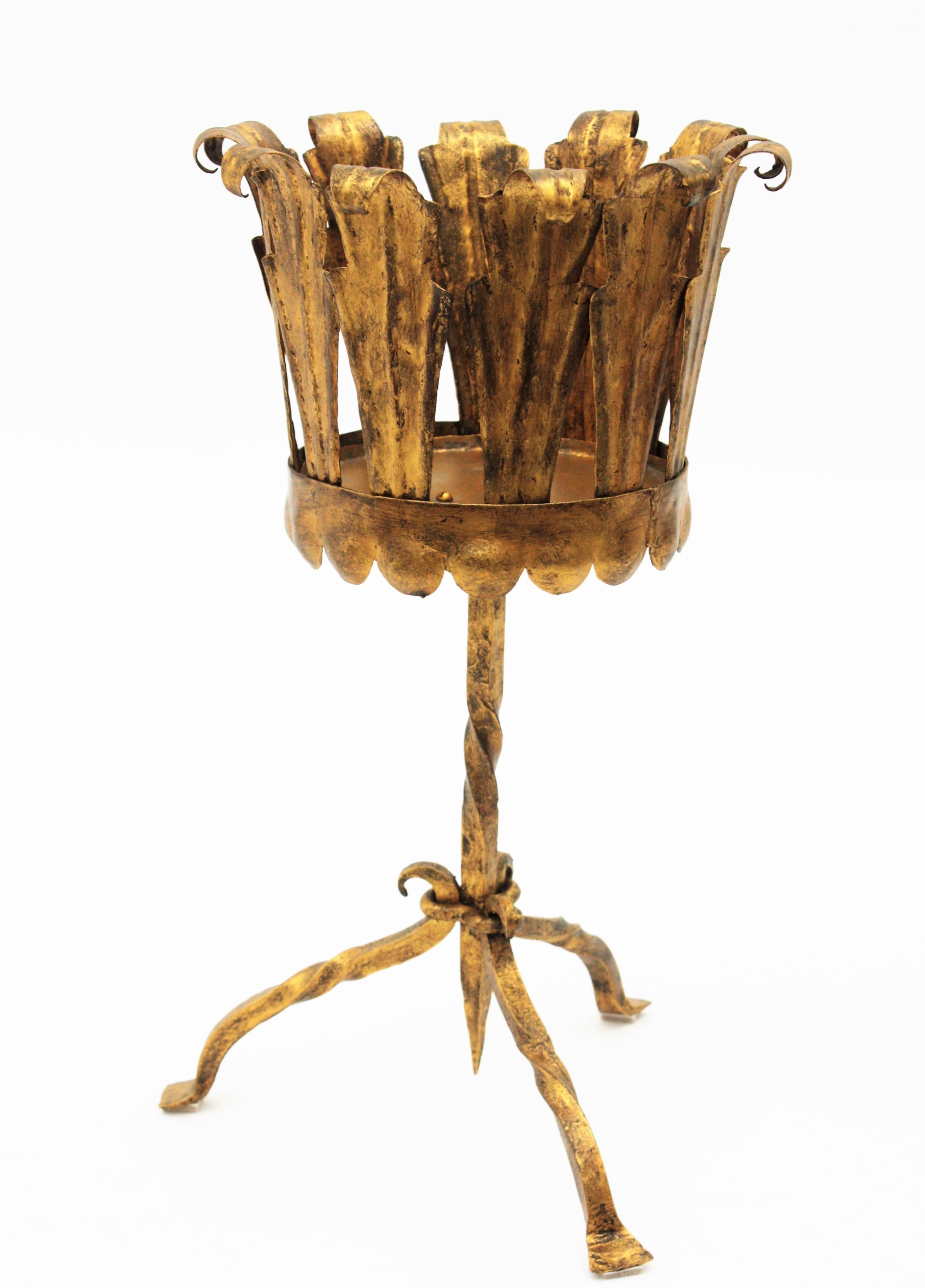 20th Century Spanish Tripod Planter in Gilt Wrought Iron For Sale