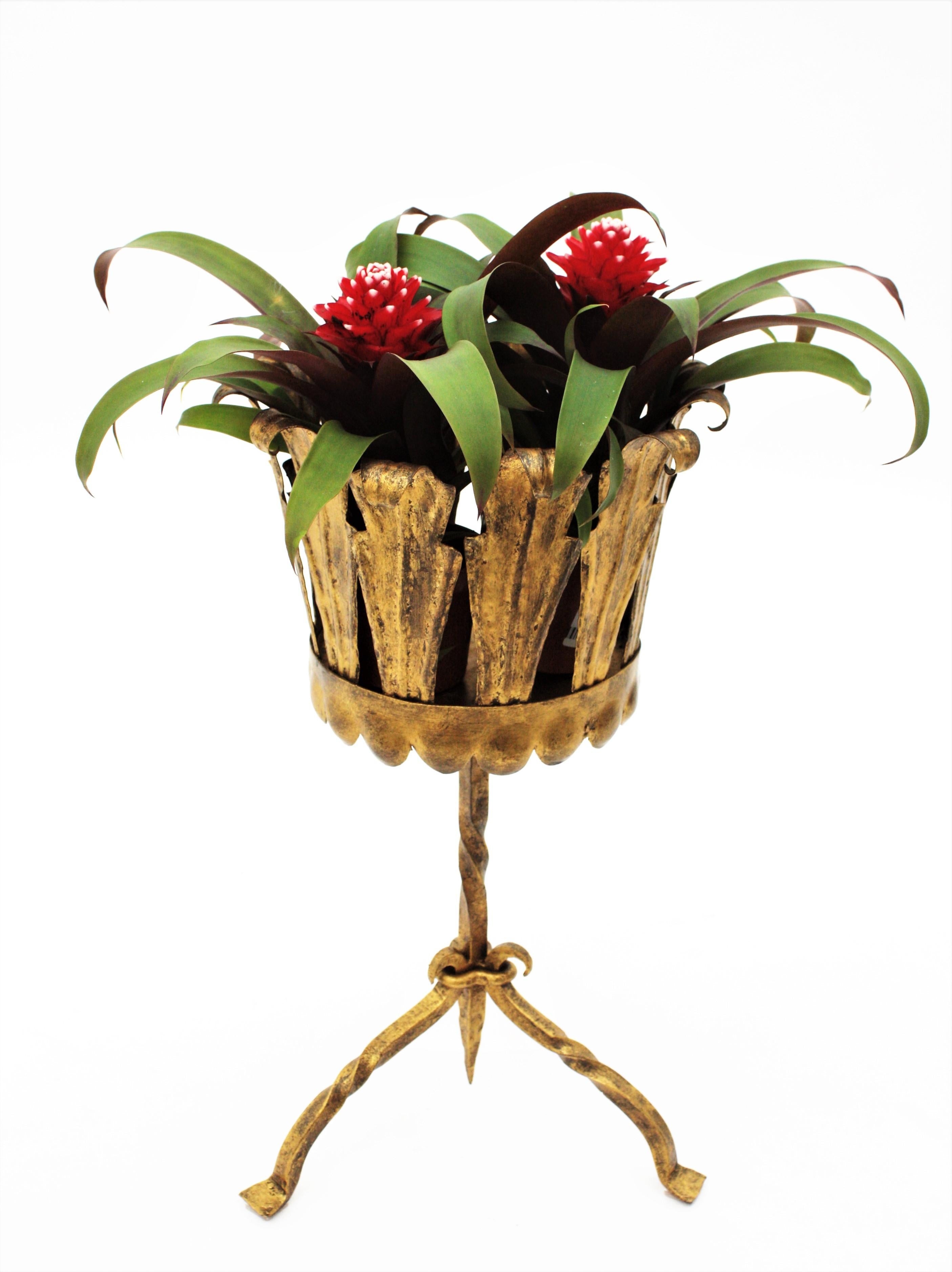 Gold Leaf Spanish Tripod Planter in Gilt Wrought Iron For Sale